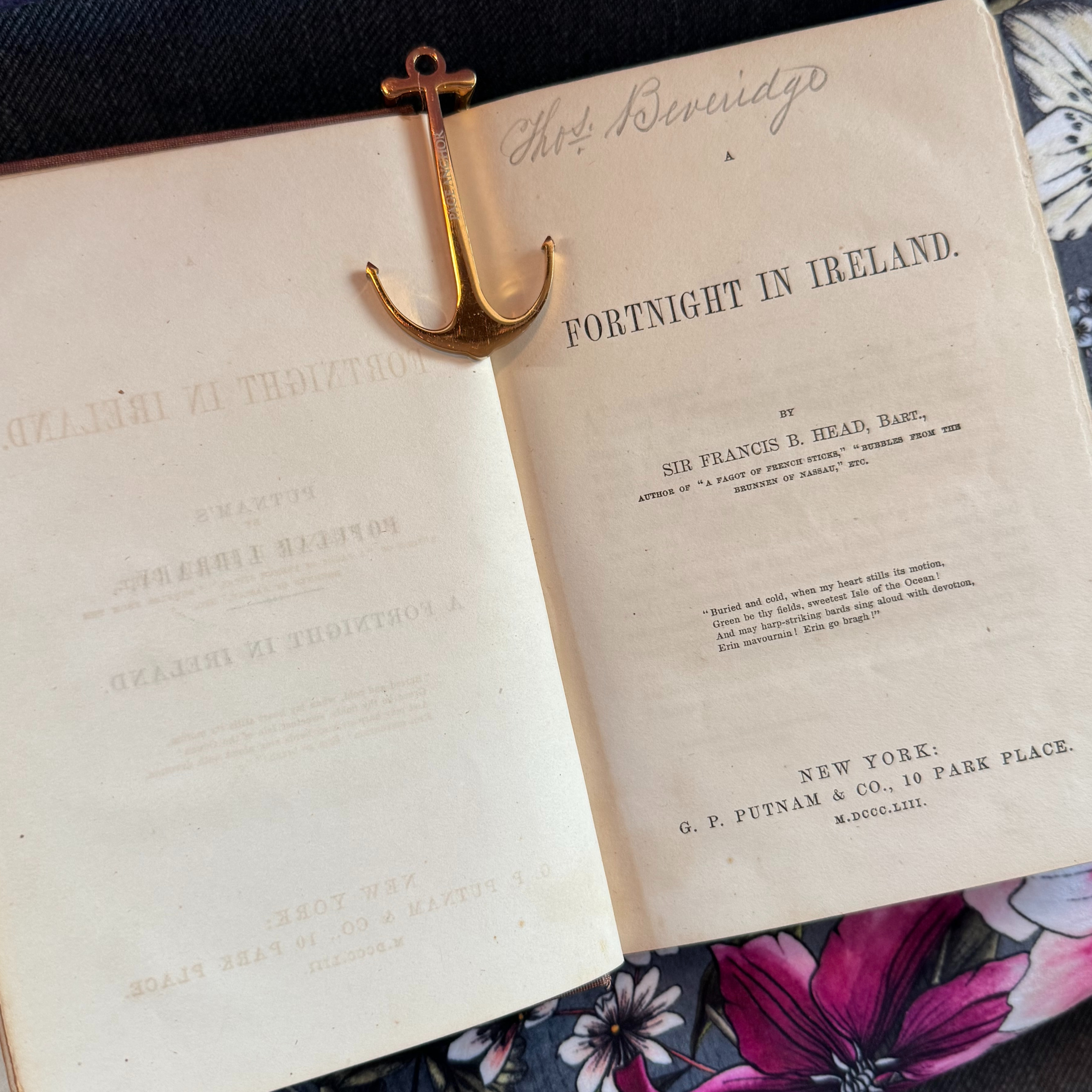 Vices and Volumes | Navigate Irish and British History\'s Absurdities from 1800s Books