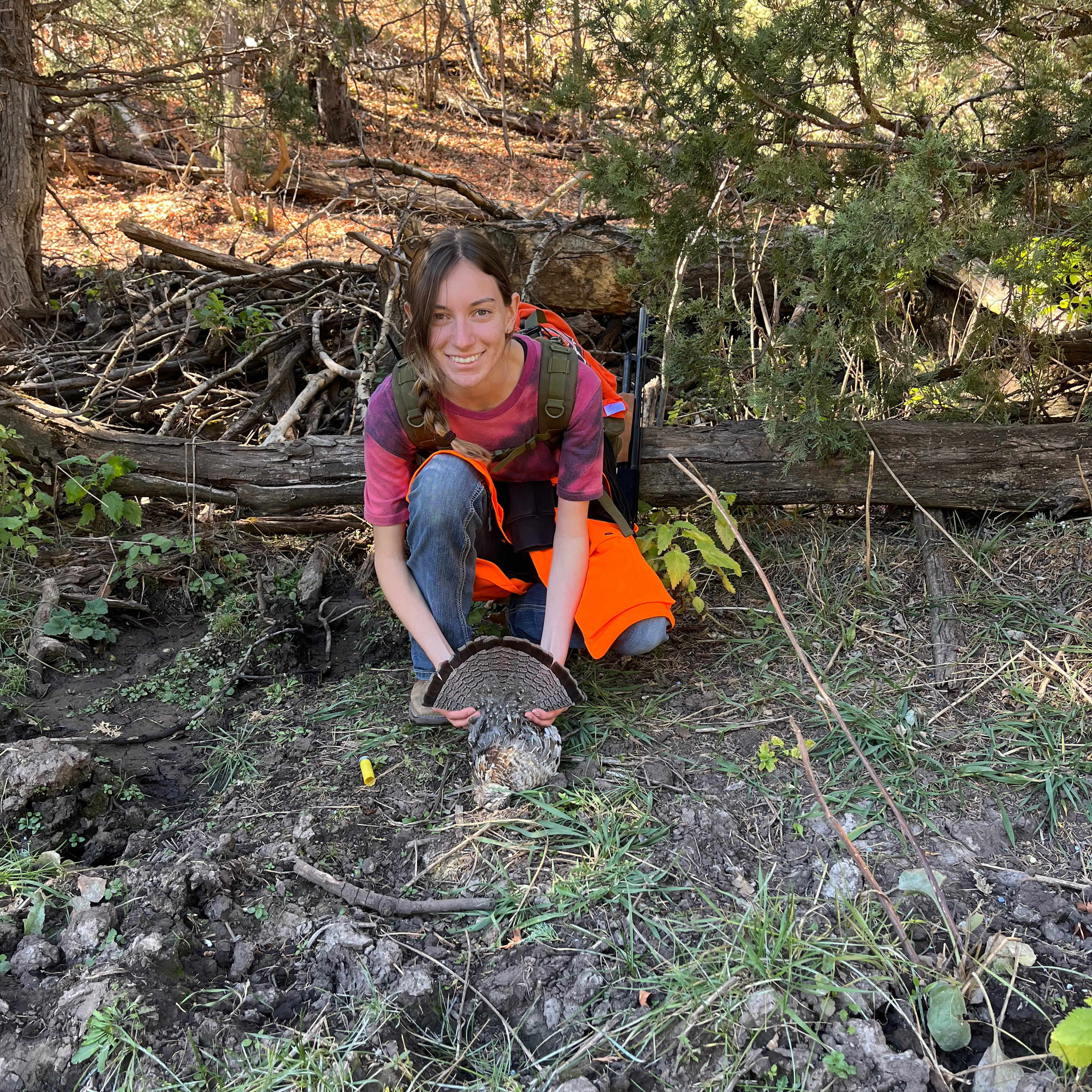 Bird Camp Radio Podcast