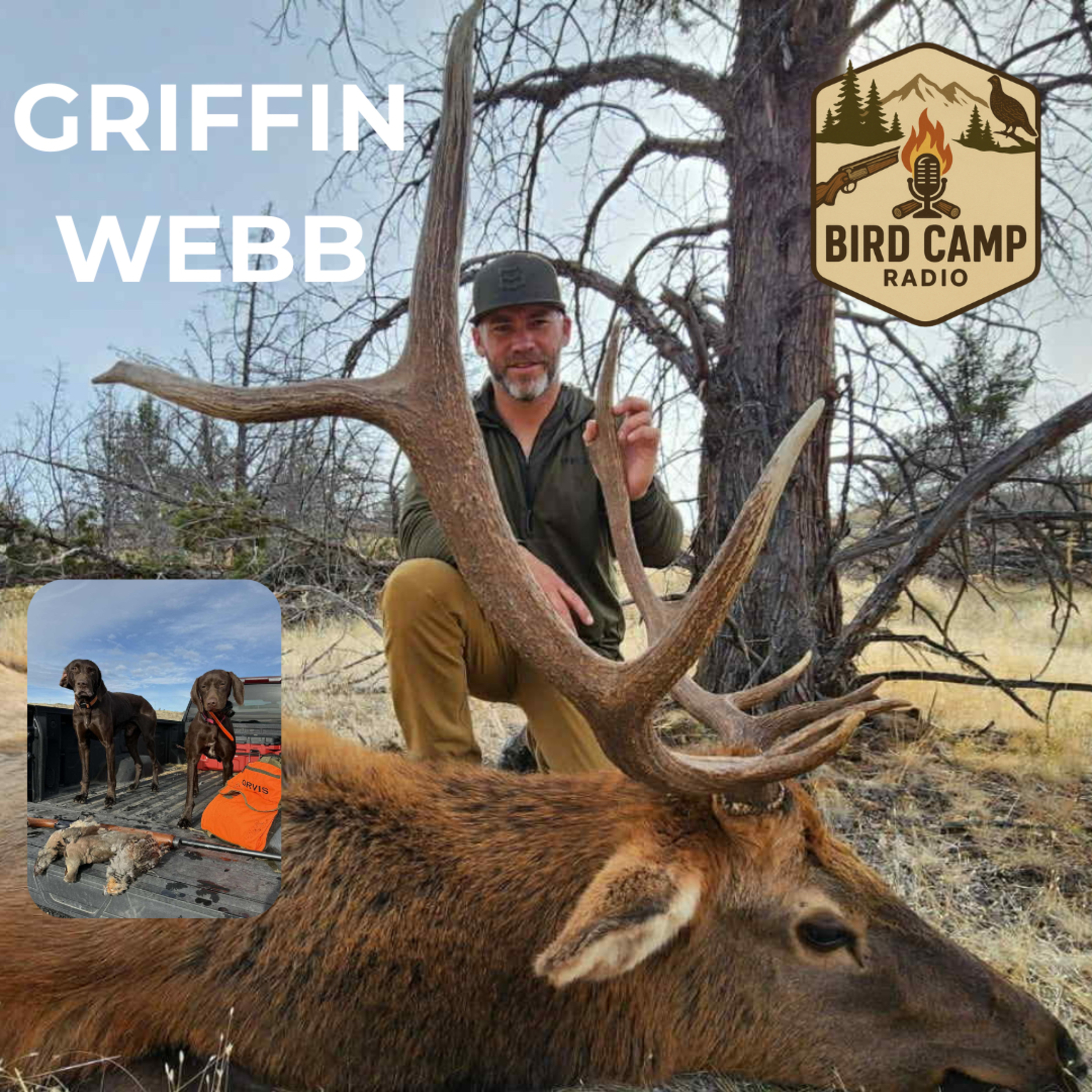 Bird Camp Radio Podcast