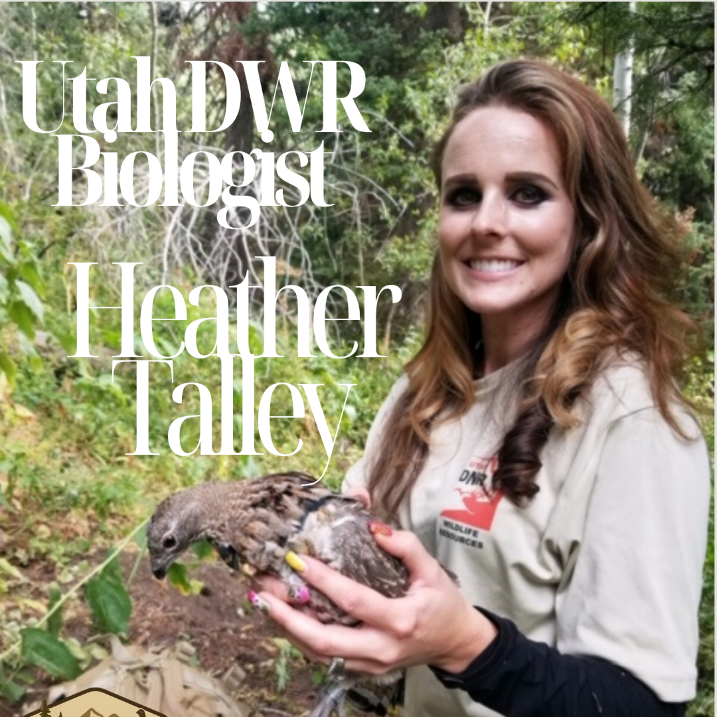 Bird Camp Radio Podcast