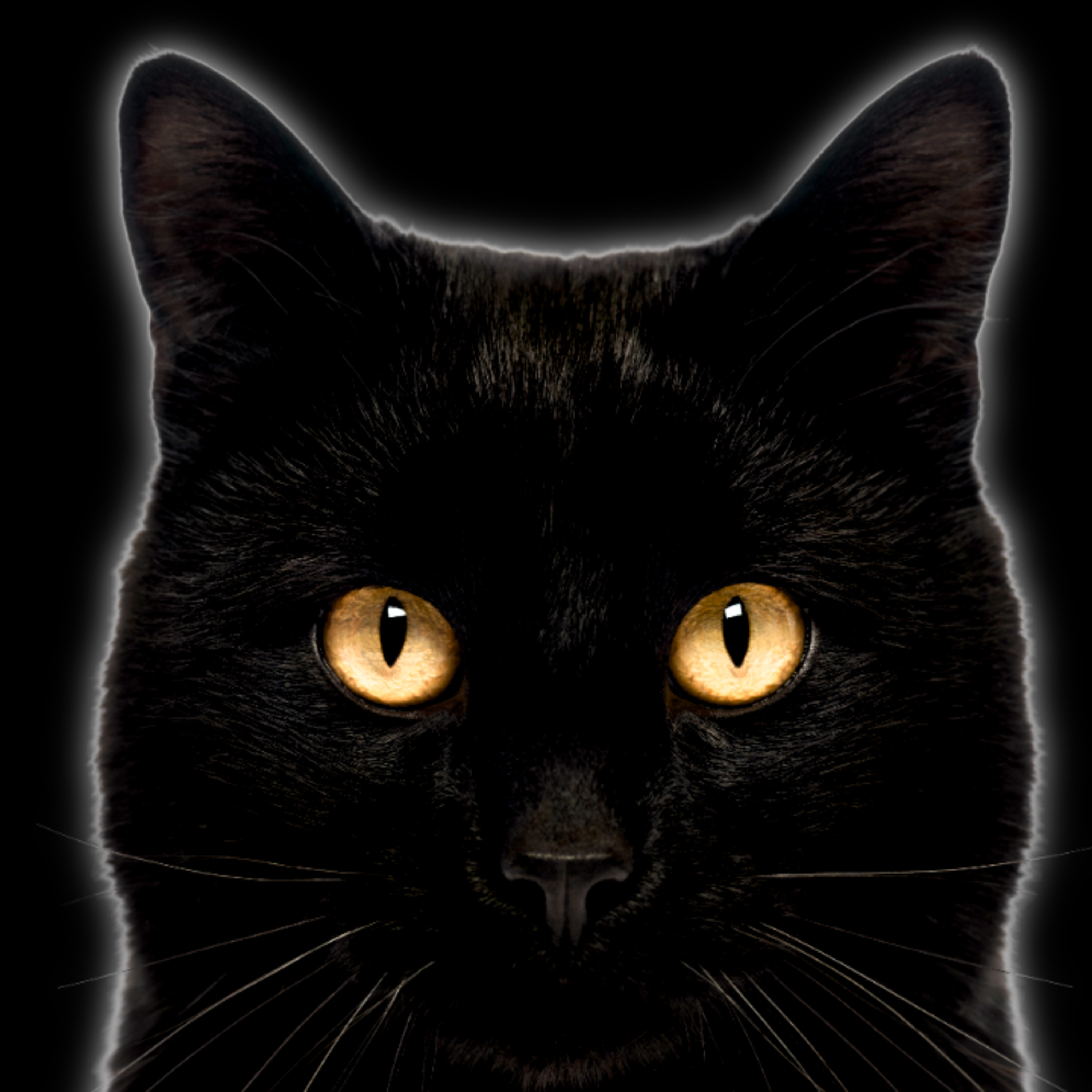 CogPod: The Logic and Reason Show