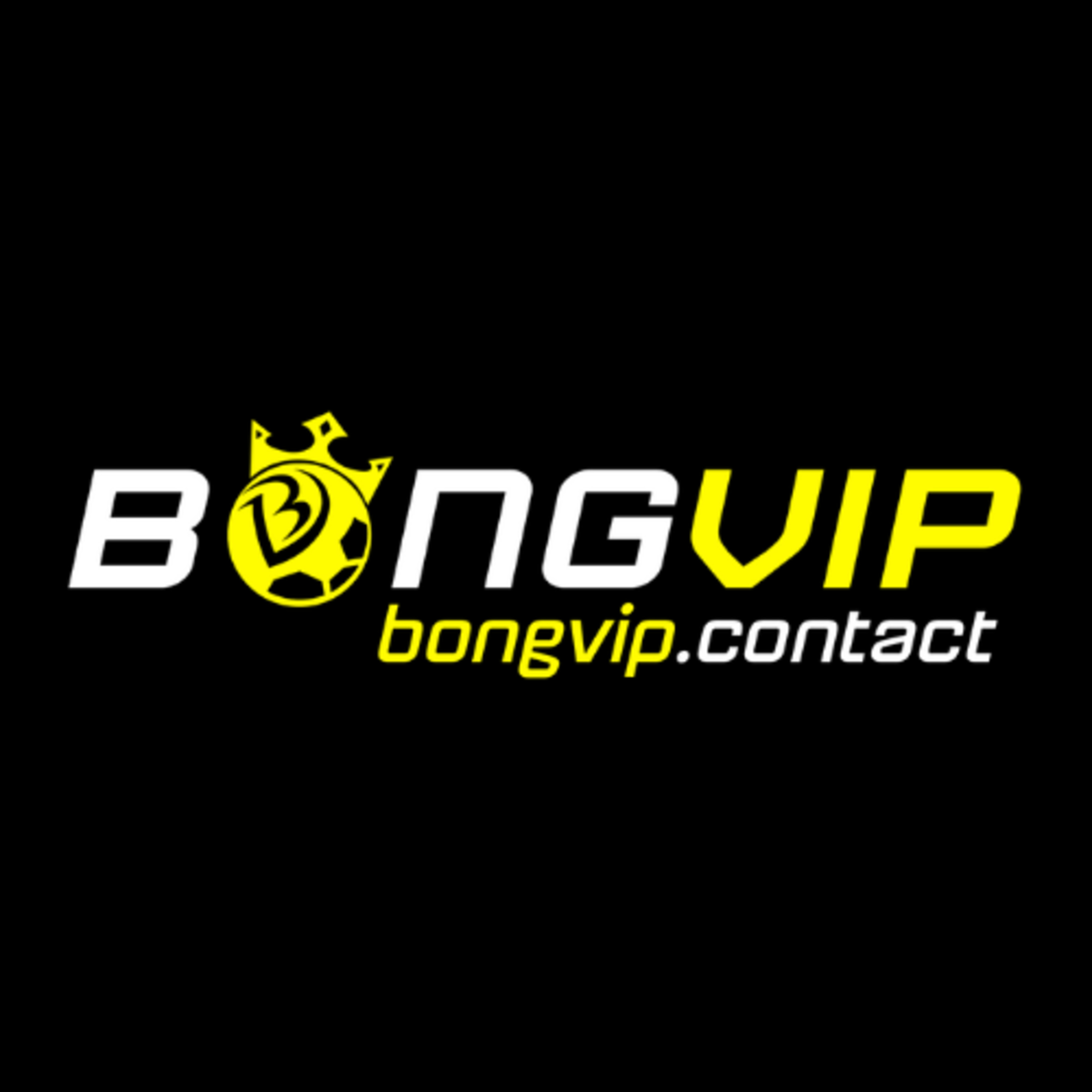 bongvipcontact