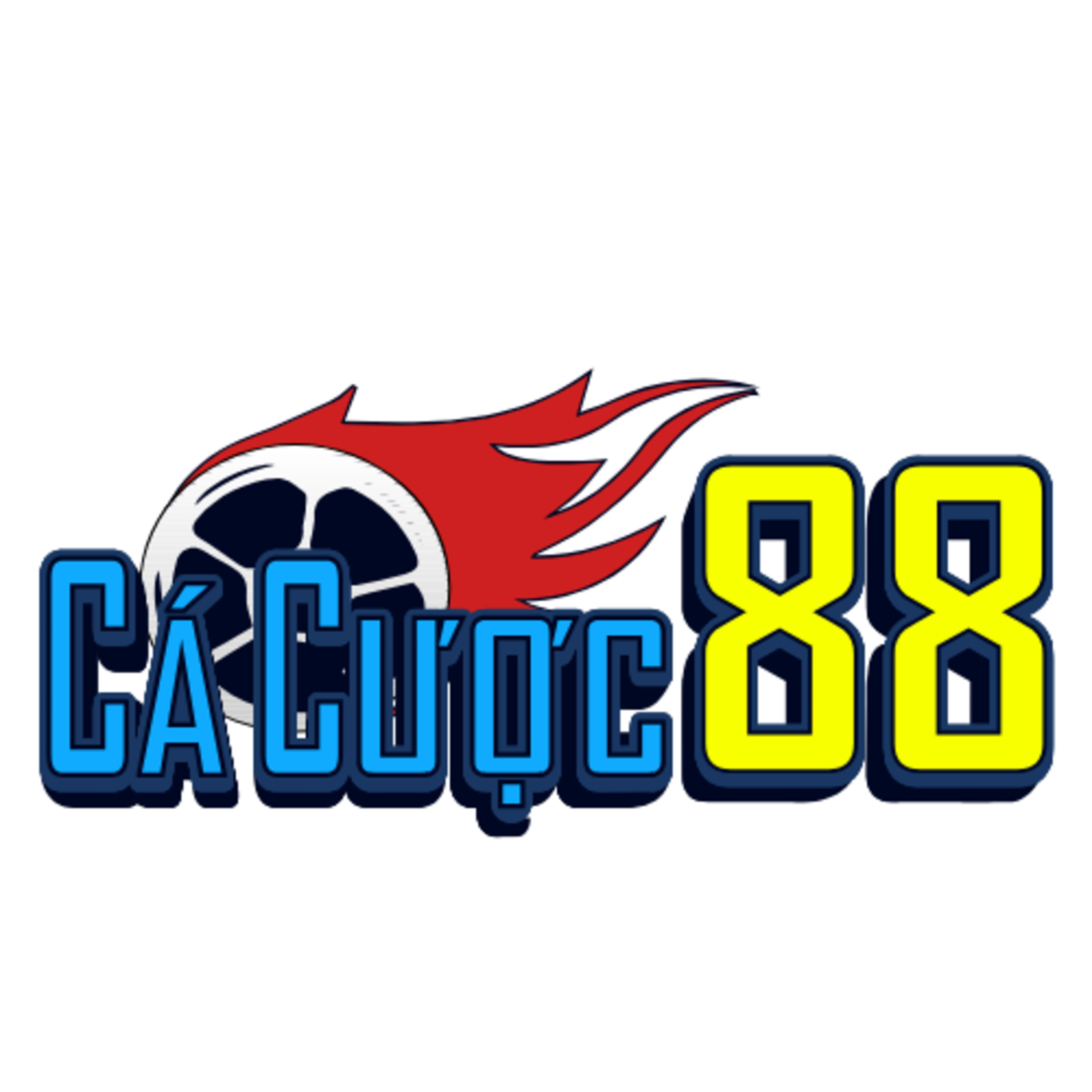 lekitxoinfo lekitxoinfo