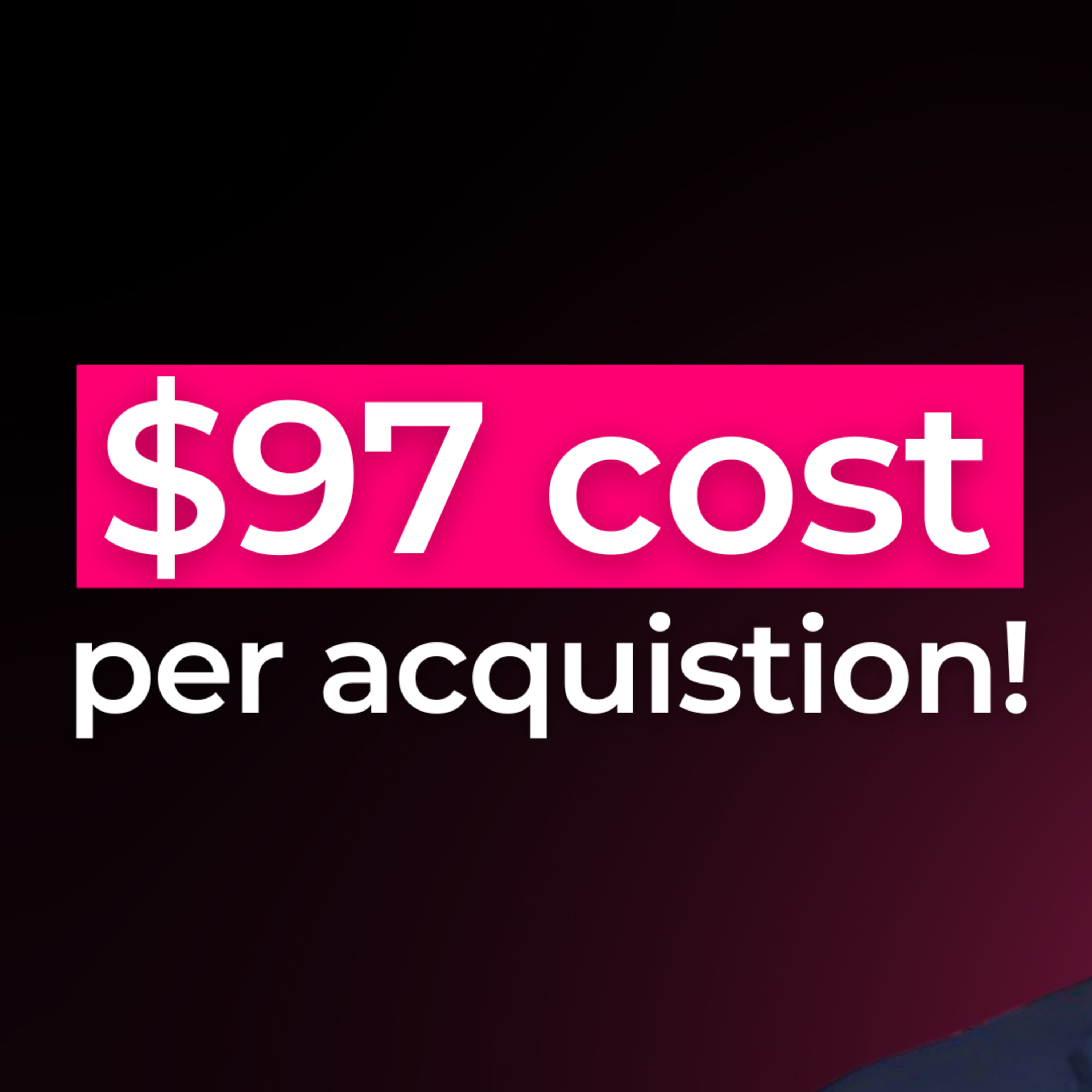 Pest Control Success Stories