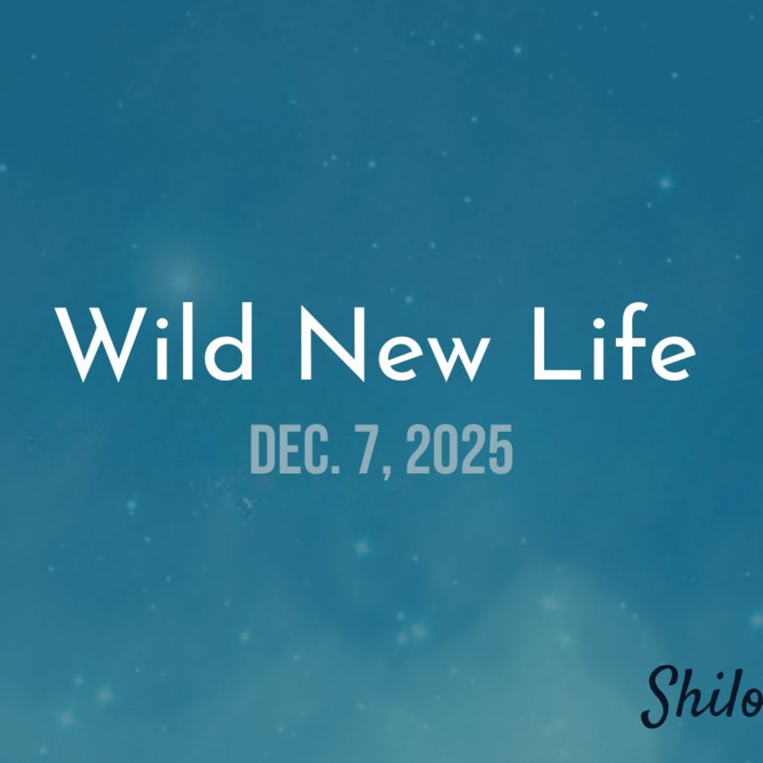 Shiloh UMC Online Worship