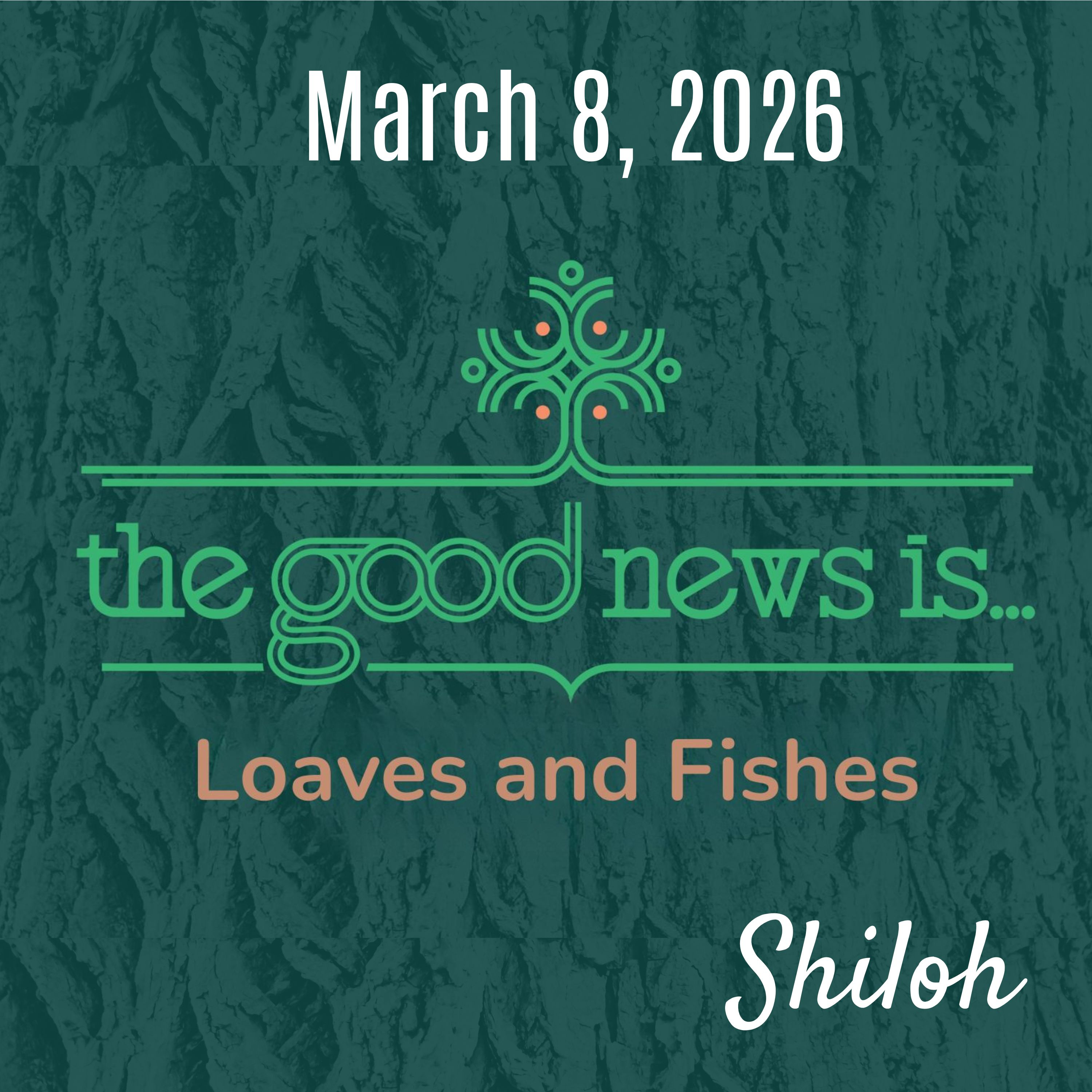 Shiloh Online Worship - March 8, 2026 episode artwork
