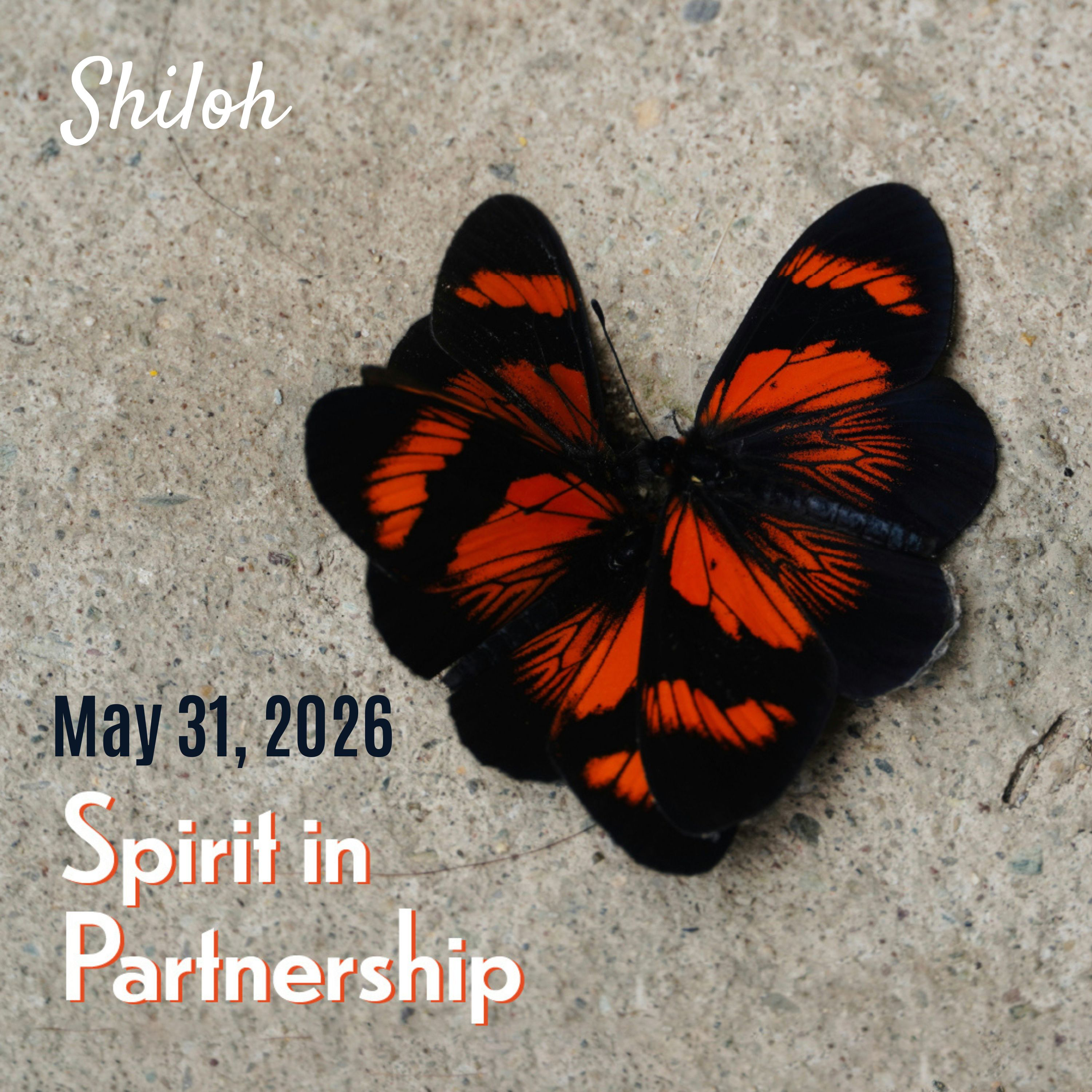 Shiloh Online Worship - May 31, 2026 episode artwork