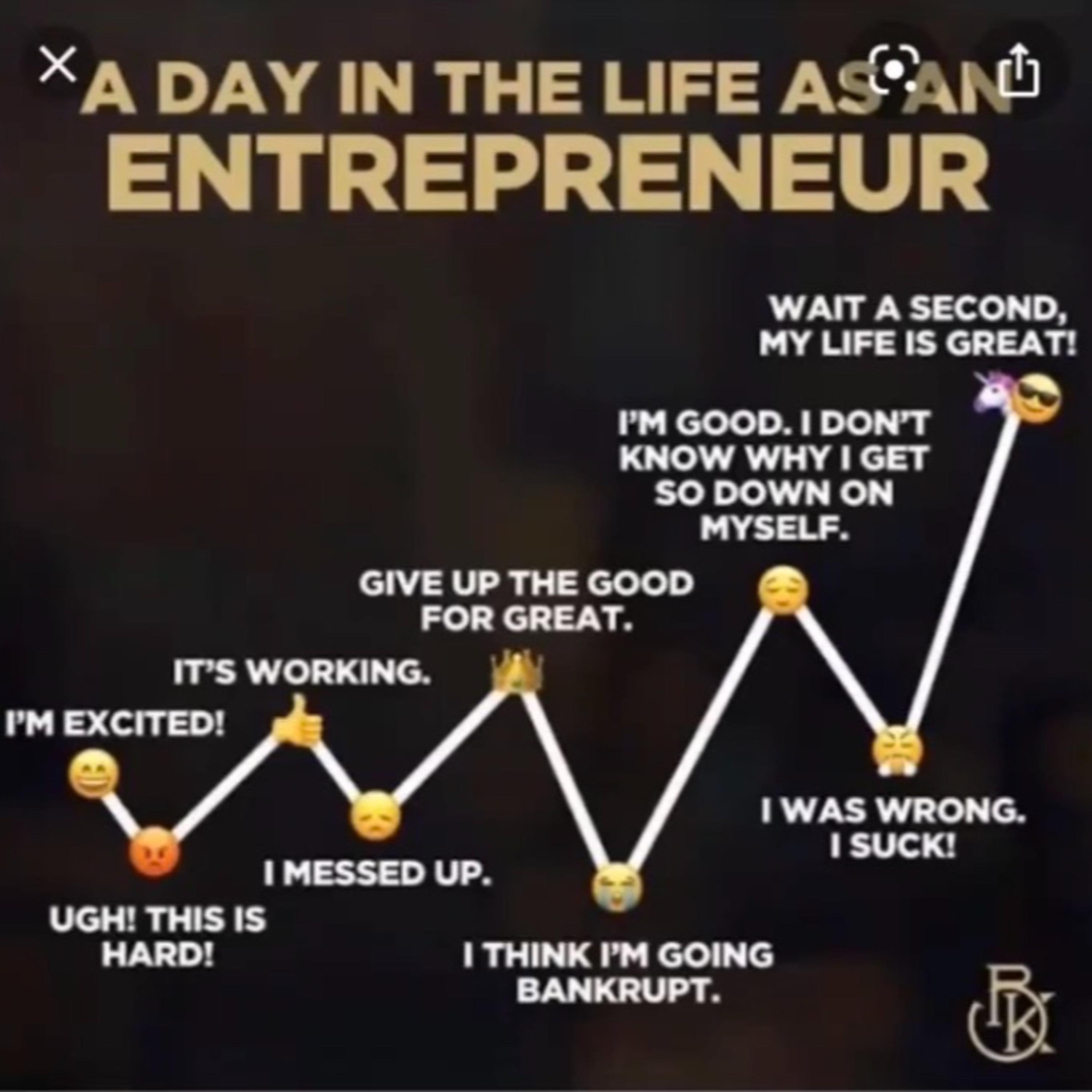 Ep 17 Entrepreneurship - a rollercoaster ride episode artwork