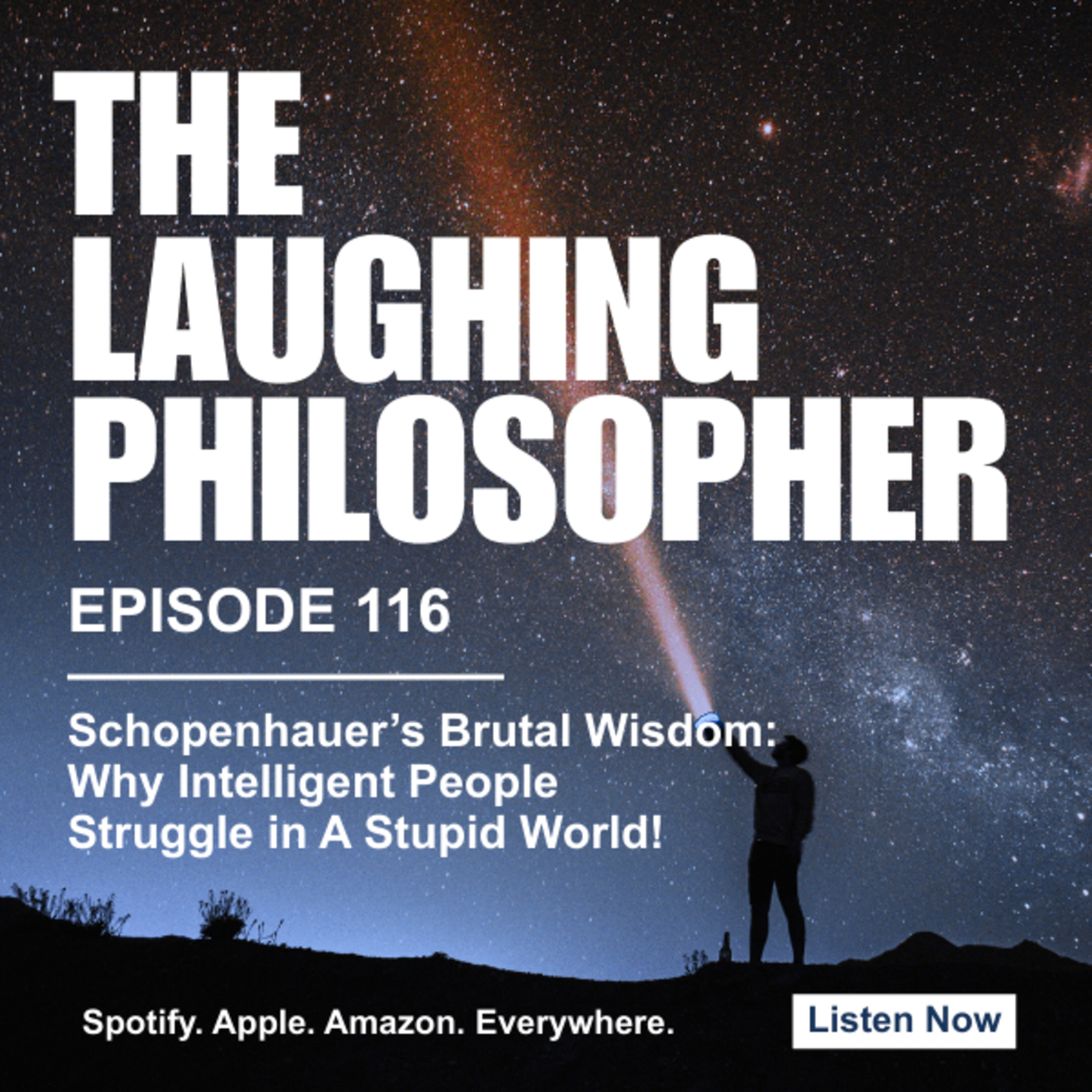 Schopenhauer’s Brutal Wisdom: Why Intelligent People Struggle in A Stupid World! episode artwork