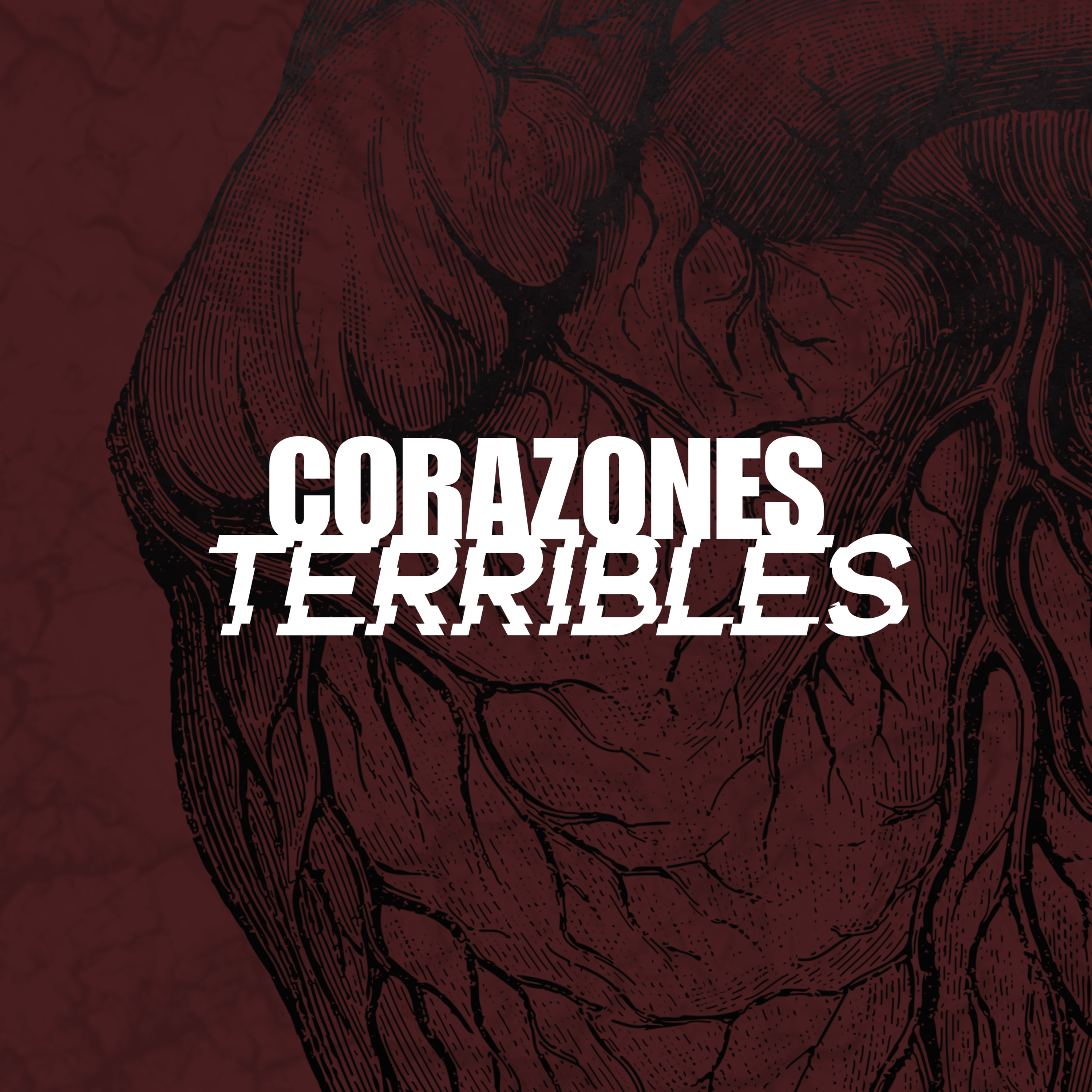 Portada de Raíces AEP