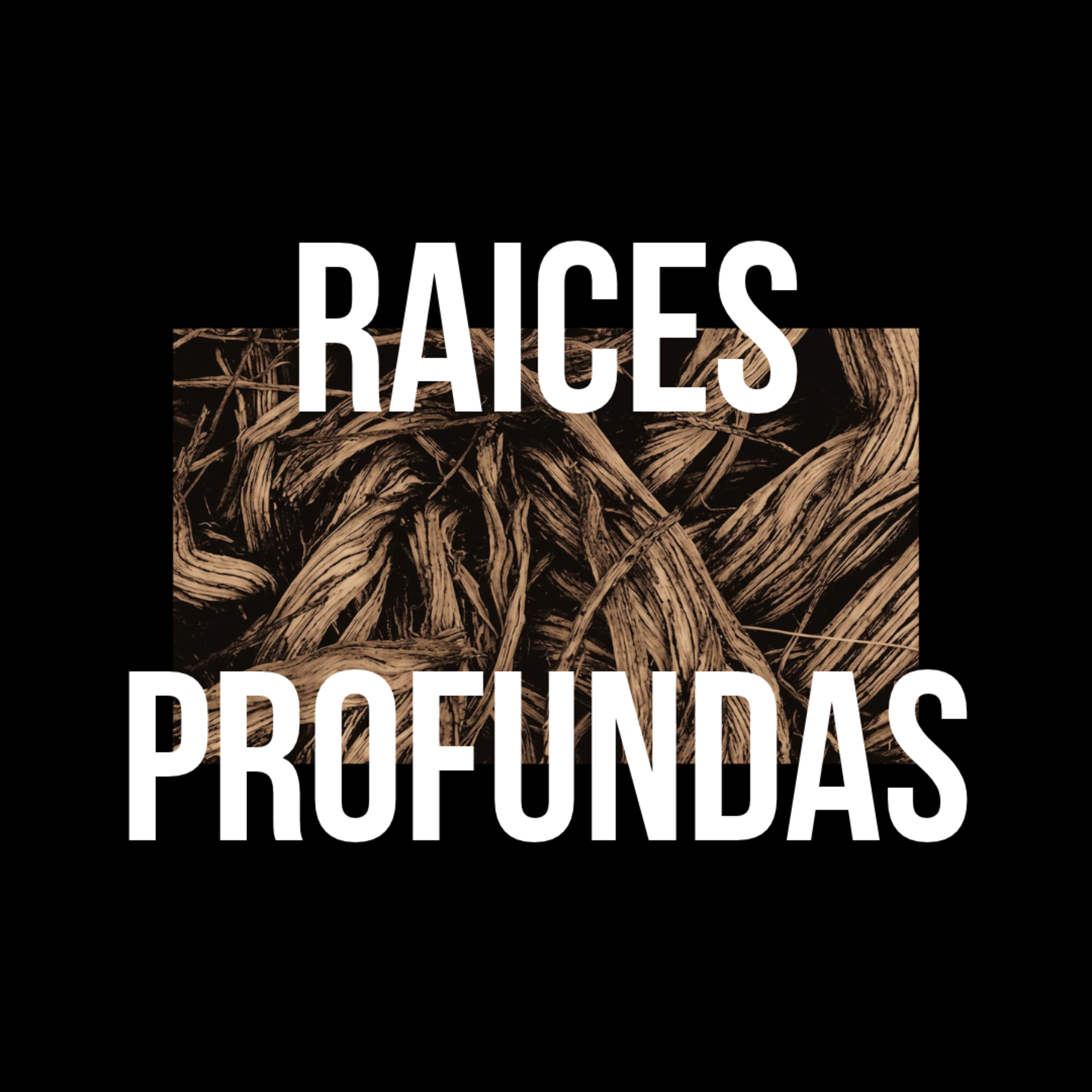 Portada de Raíces AEP