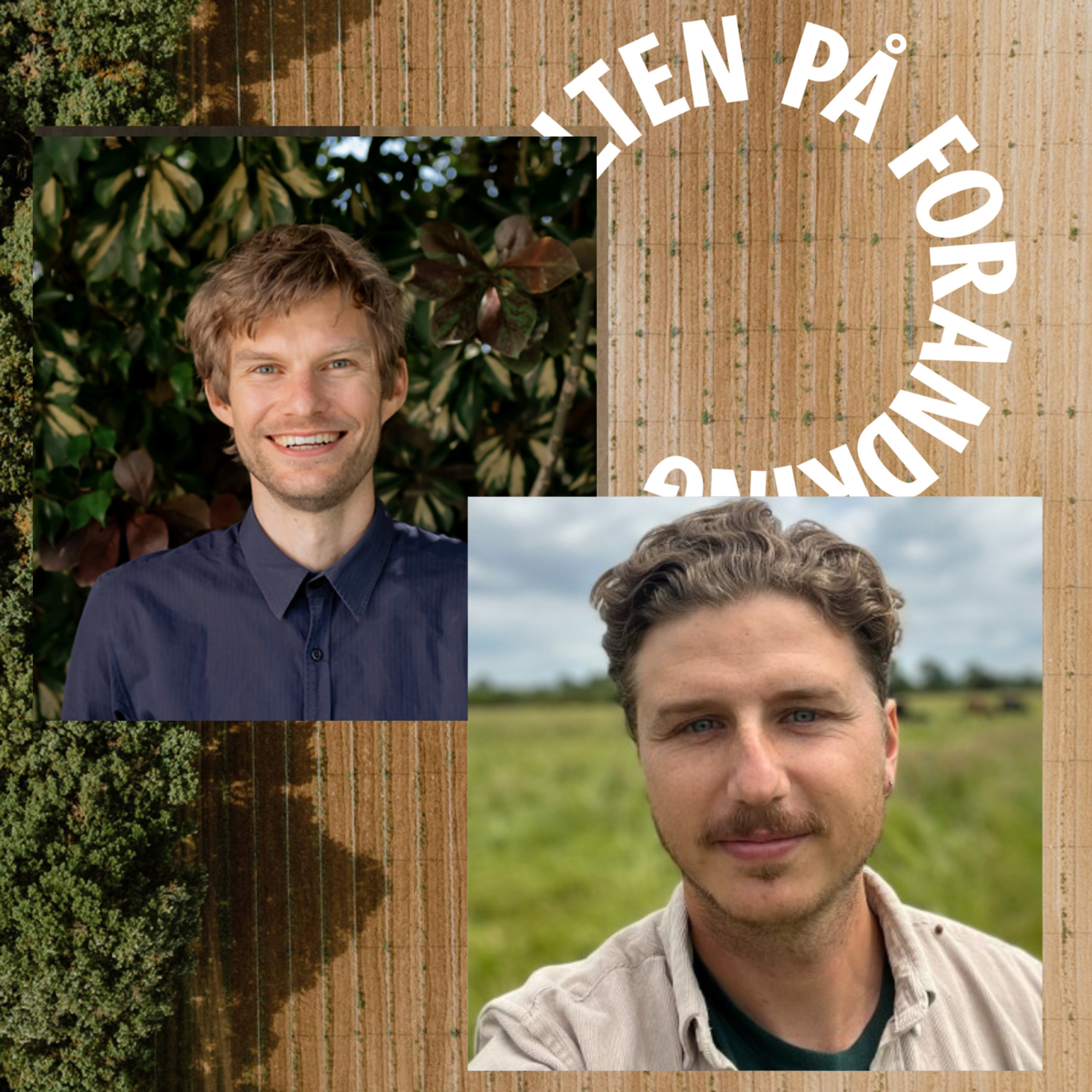 Koen van Seijen & Frederik Lean Hansen episode artwork