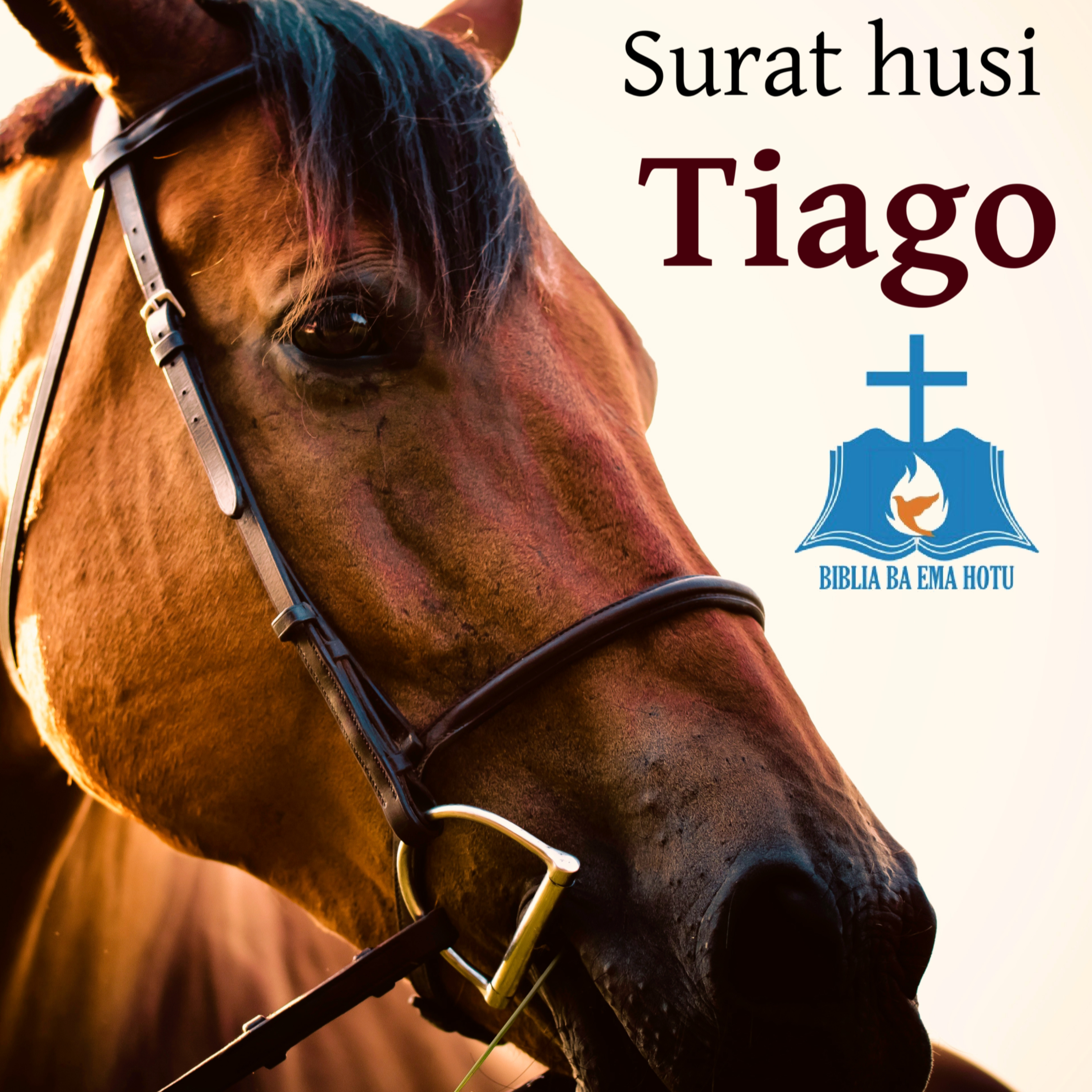 Tiago 1 episode artwork