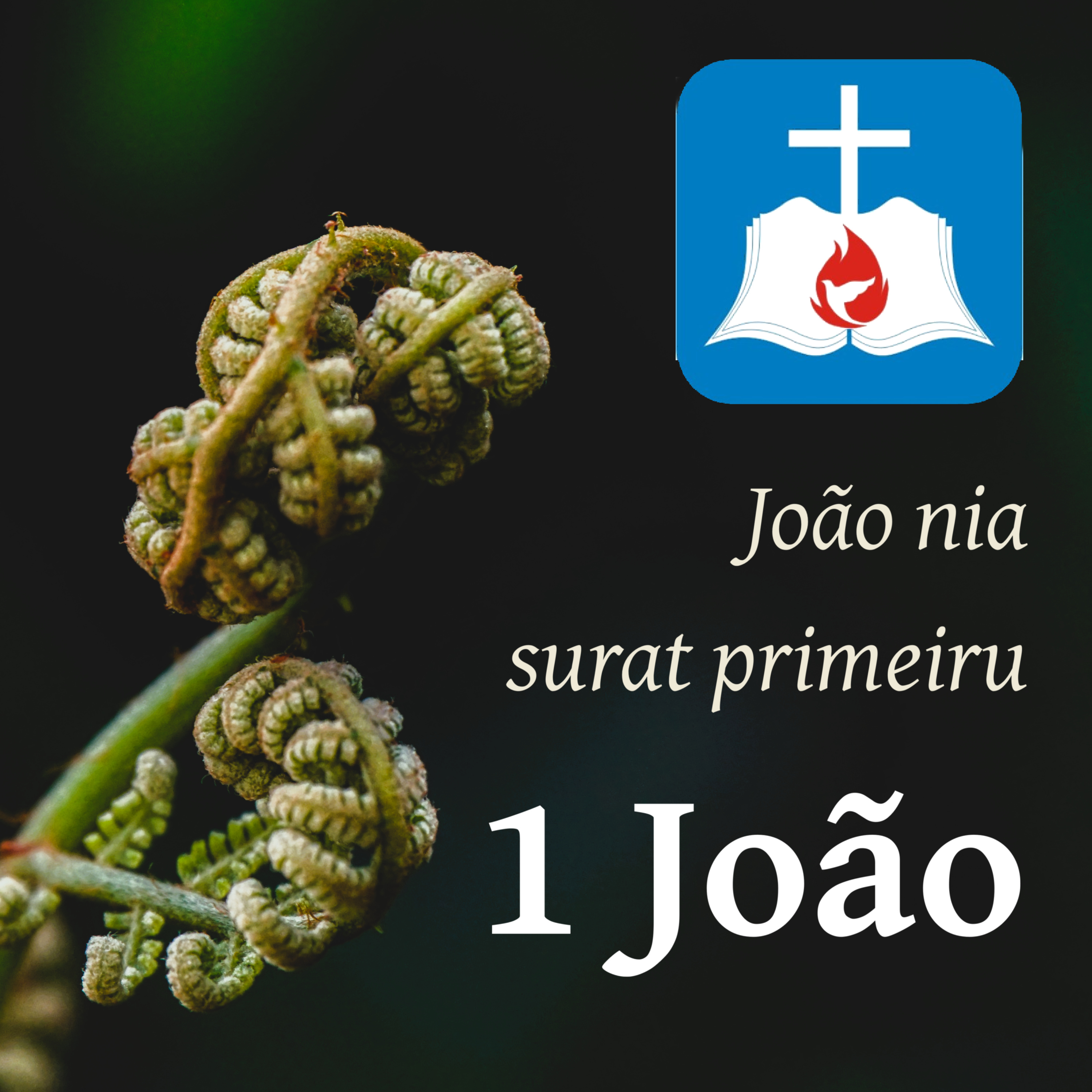 1 João 5 episode artwork