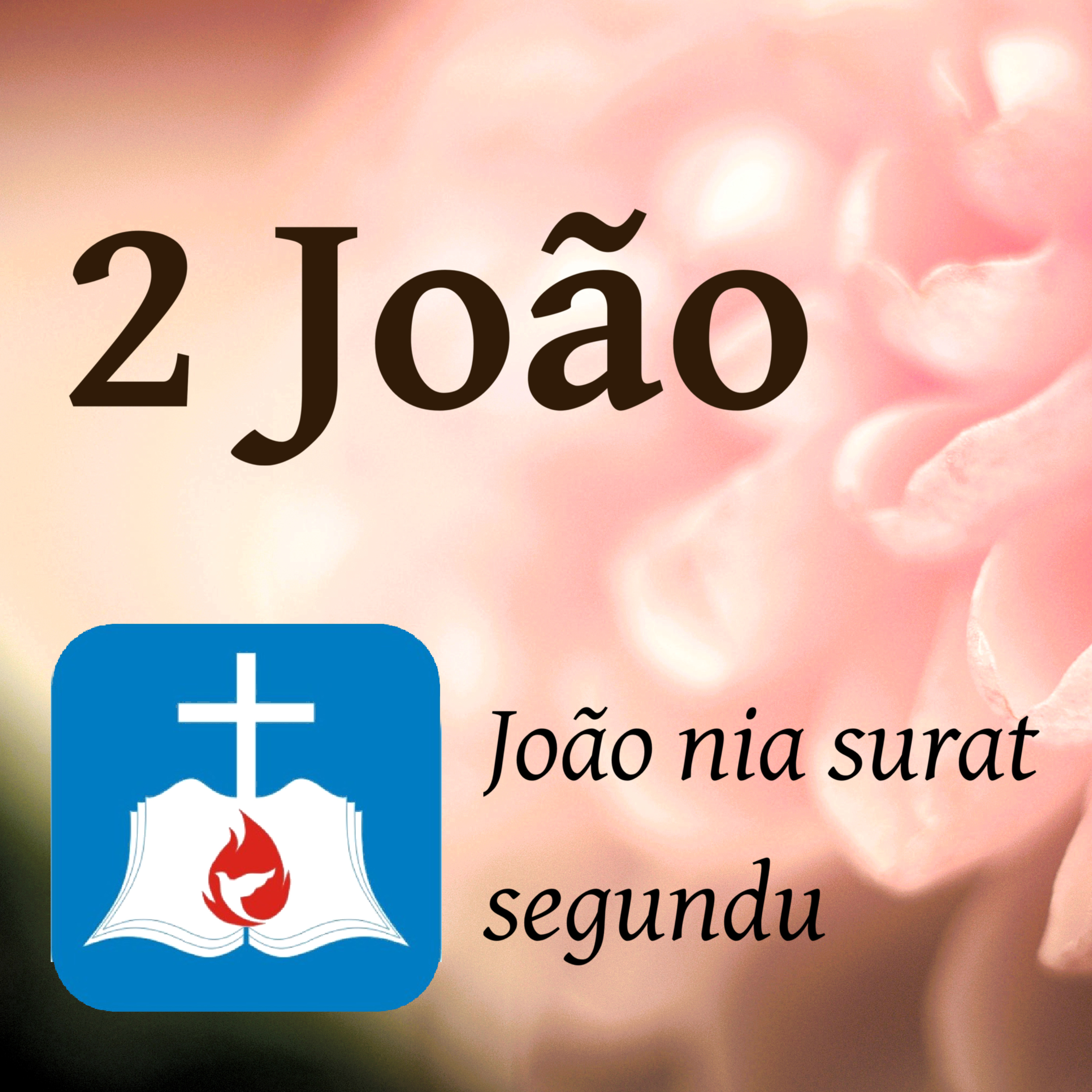 2 João 1 episode artwork