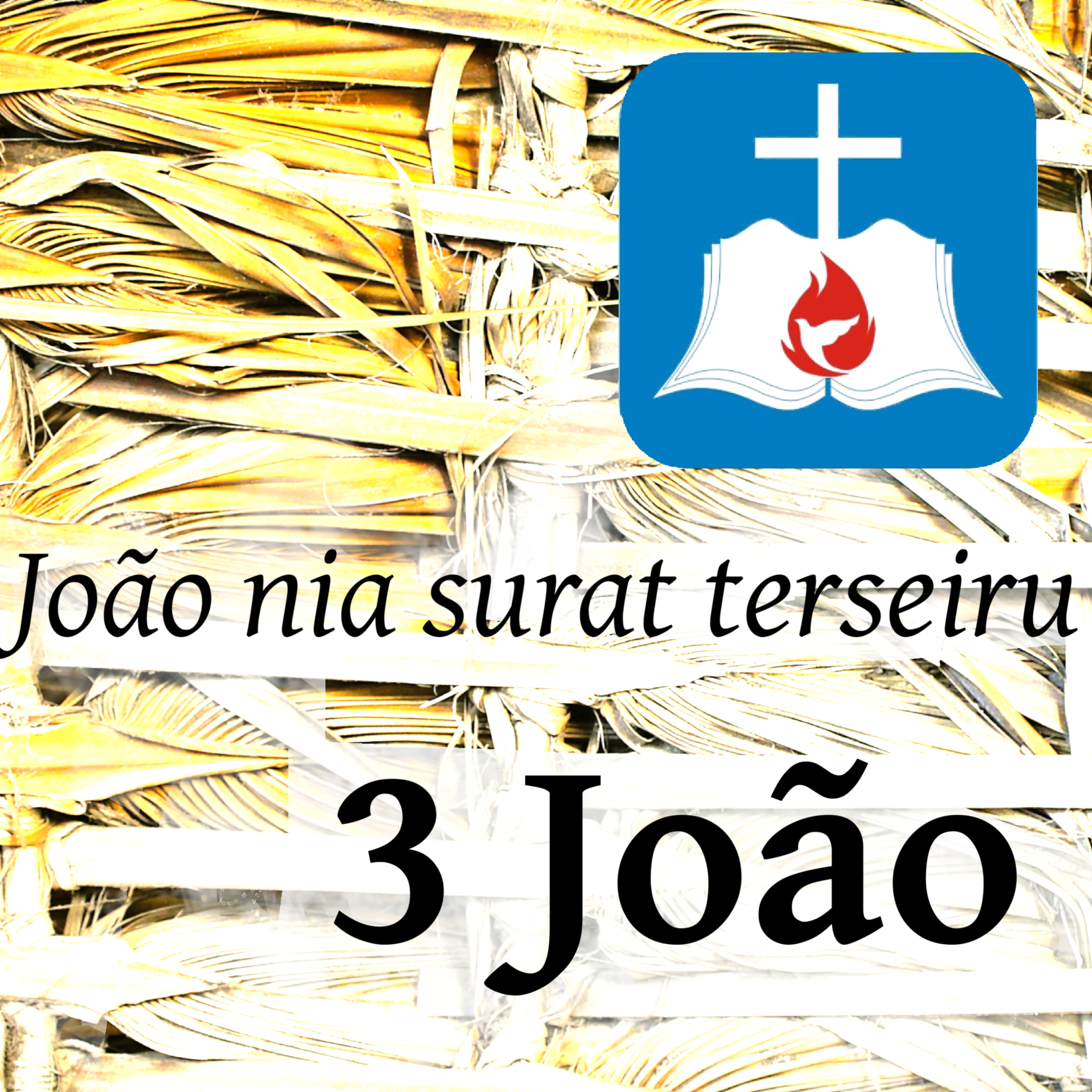 3 João 1 episode artwork