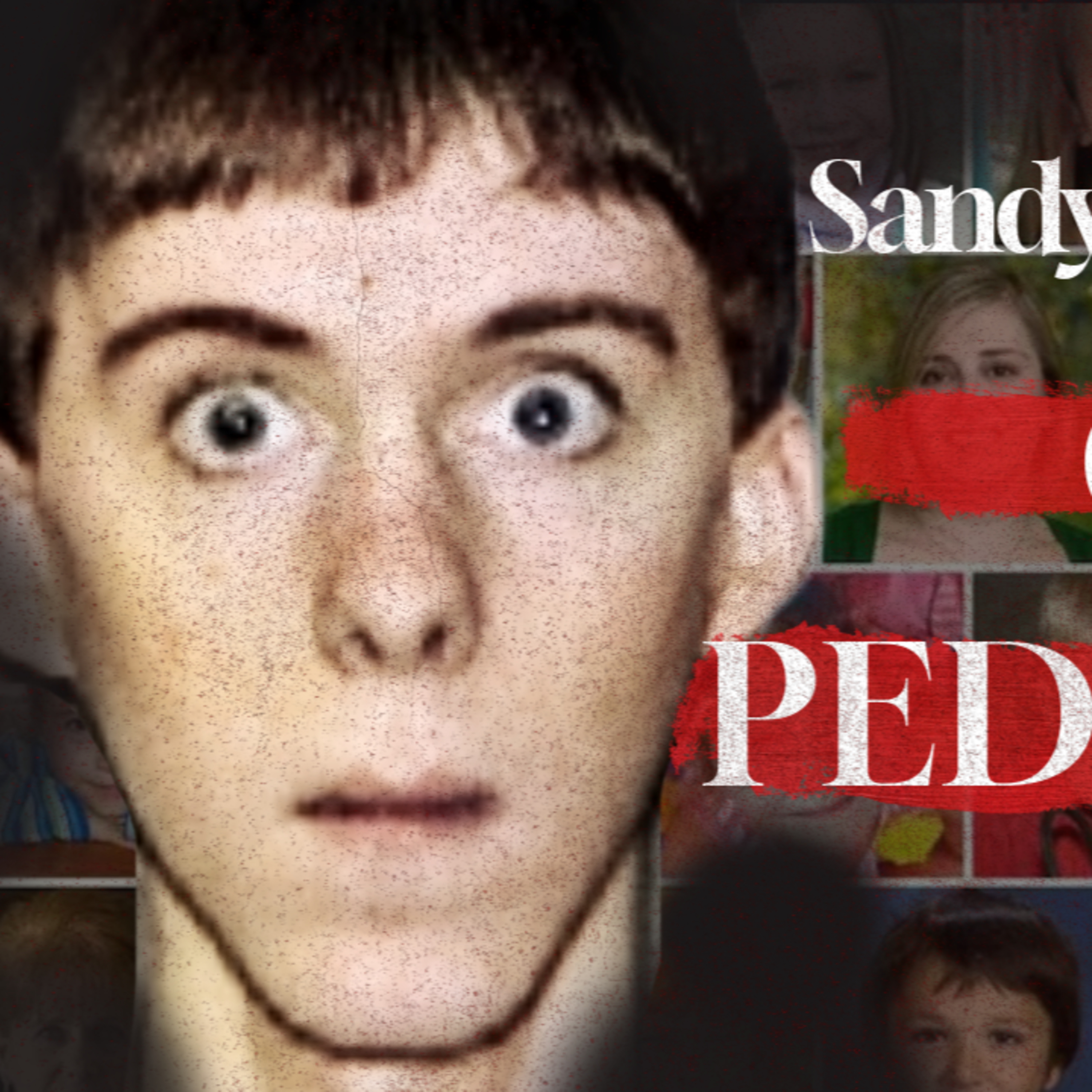 SANDY HOOK SHOOTER: Ignore the red flags. Pay with your life. episode artwork