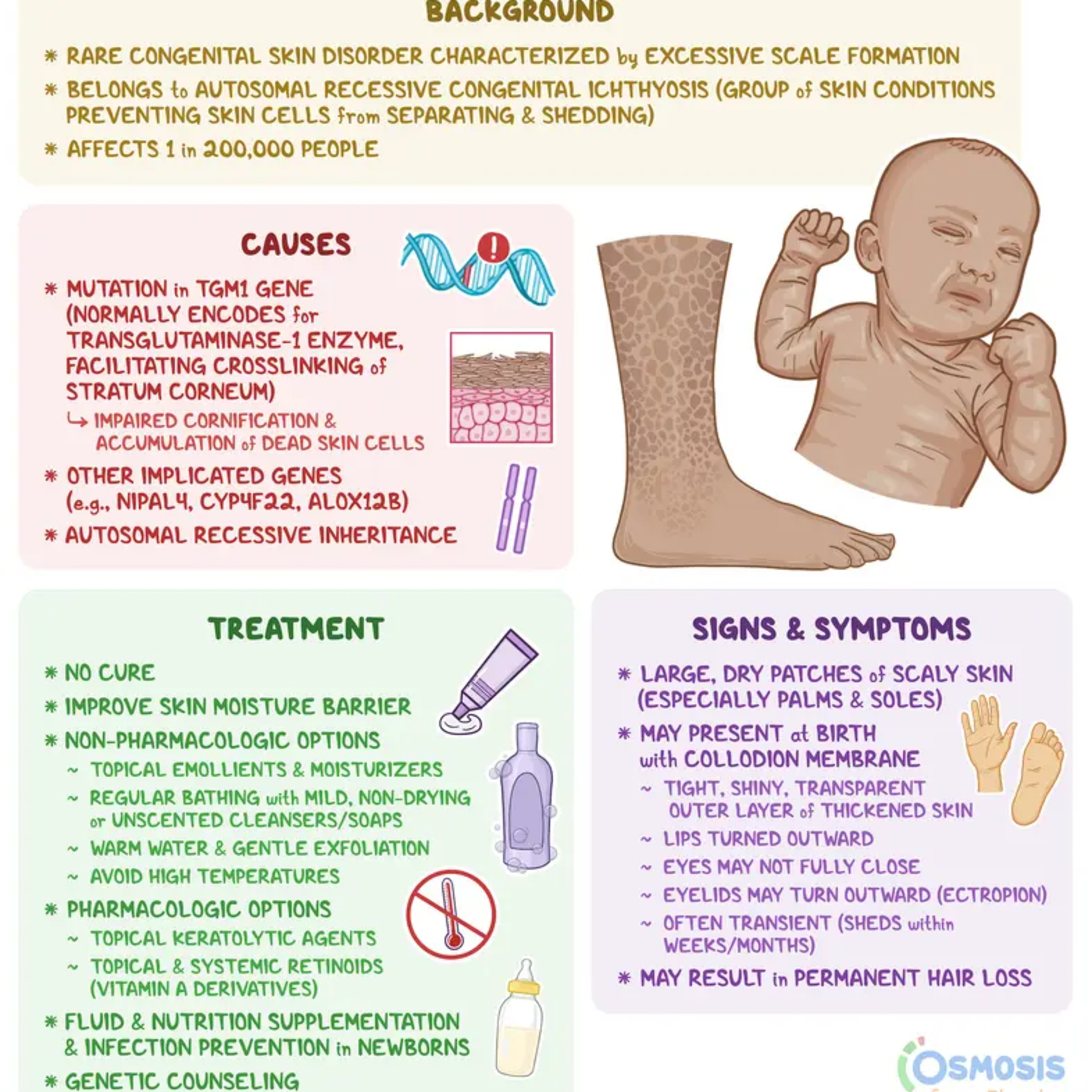 Transformation: Defining Ichthyosis | Grace_Talks with Terrence Williams episode artwork
