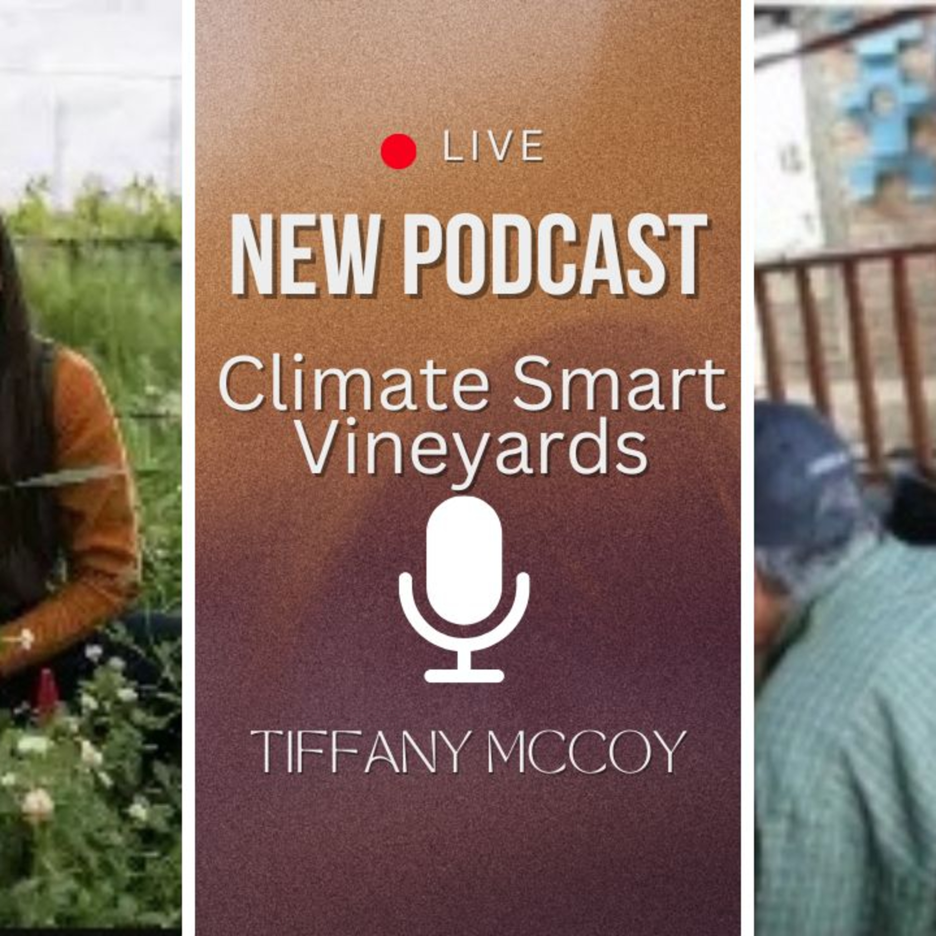 Episode 0: Climate-Smart Vineyards episode artwork