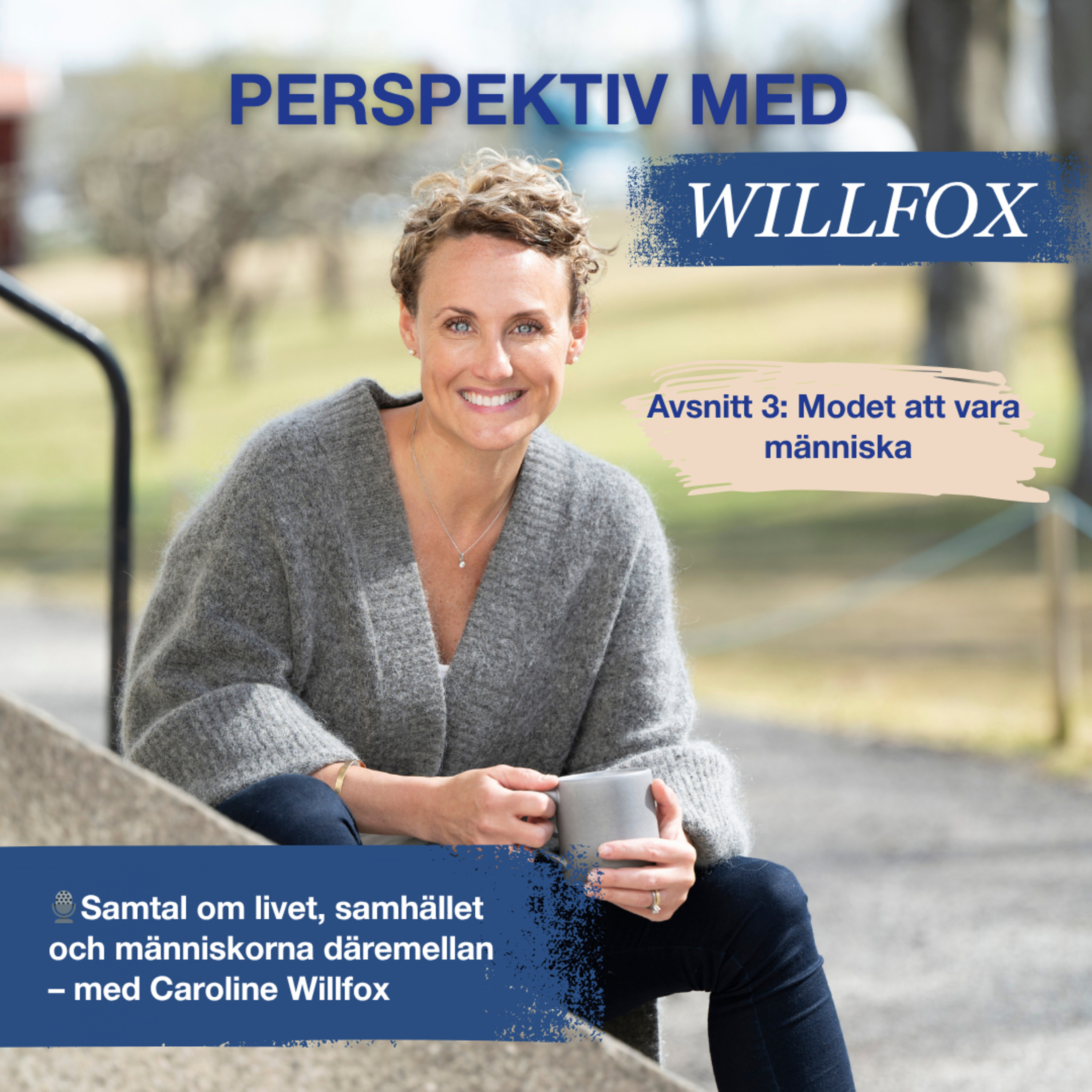 Perspektiv med Willfox