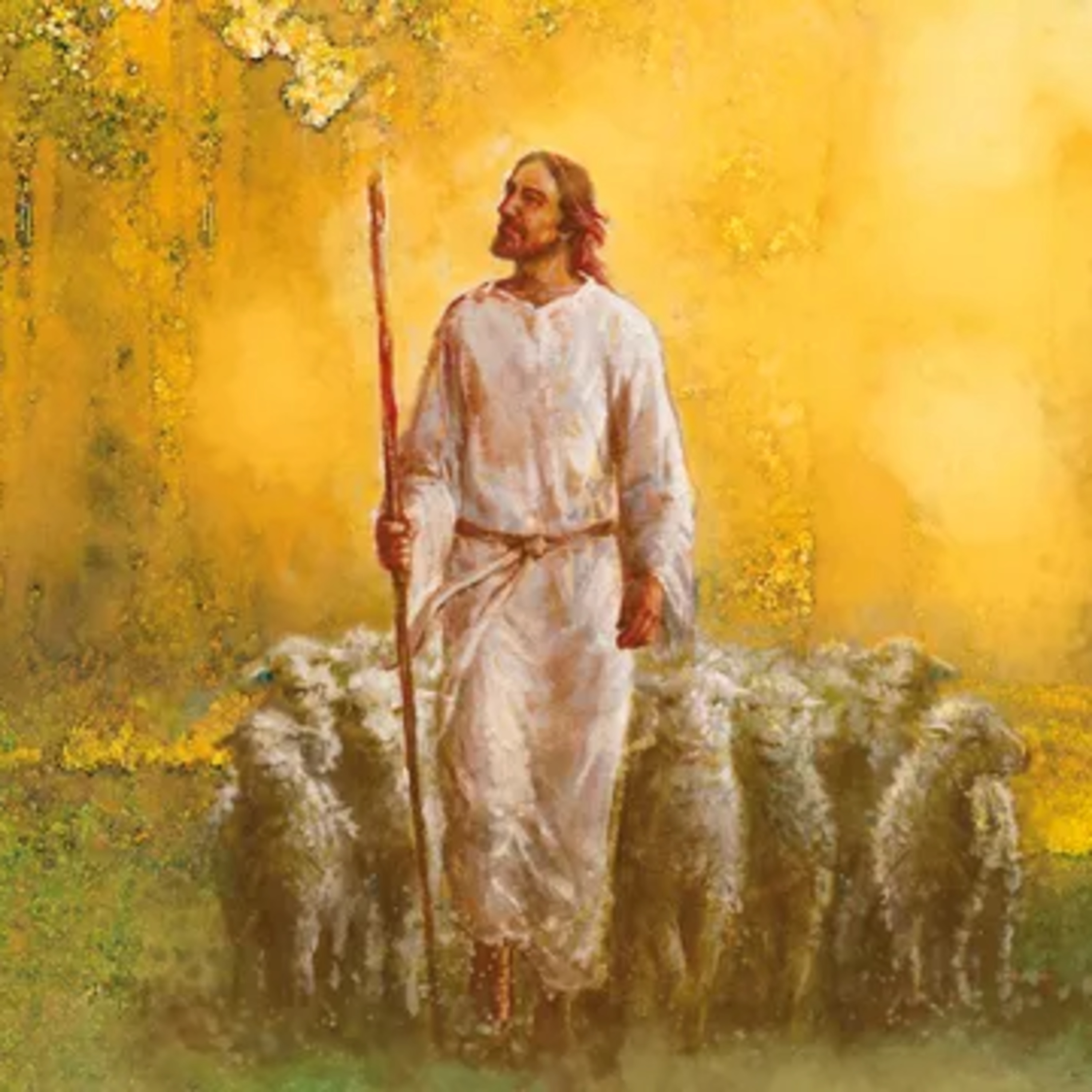 August 17–23: “The Lord Is My Shepherd” Psalms 1–2; 8; 19–33; 40; 46