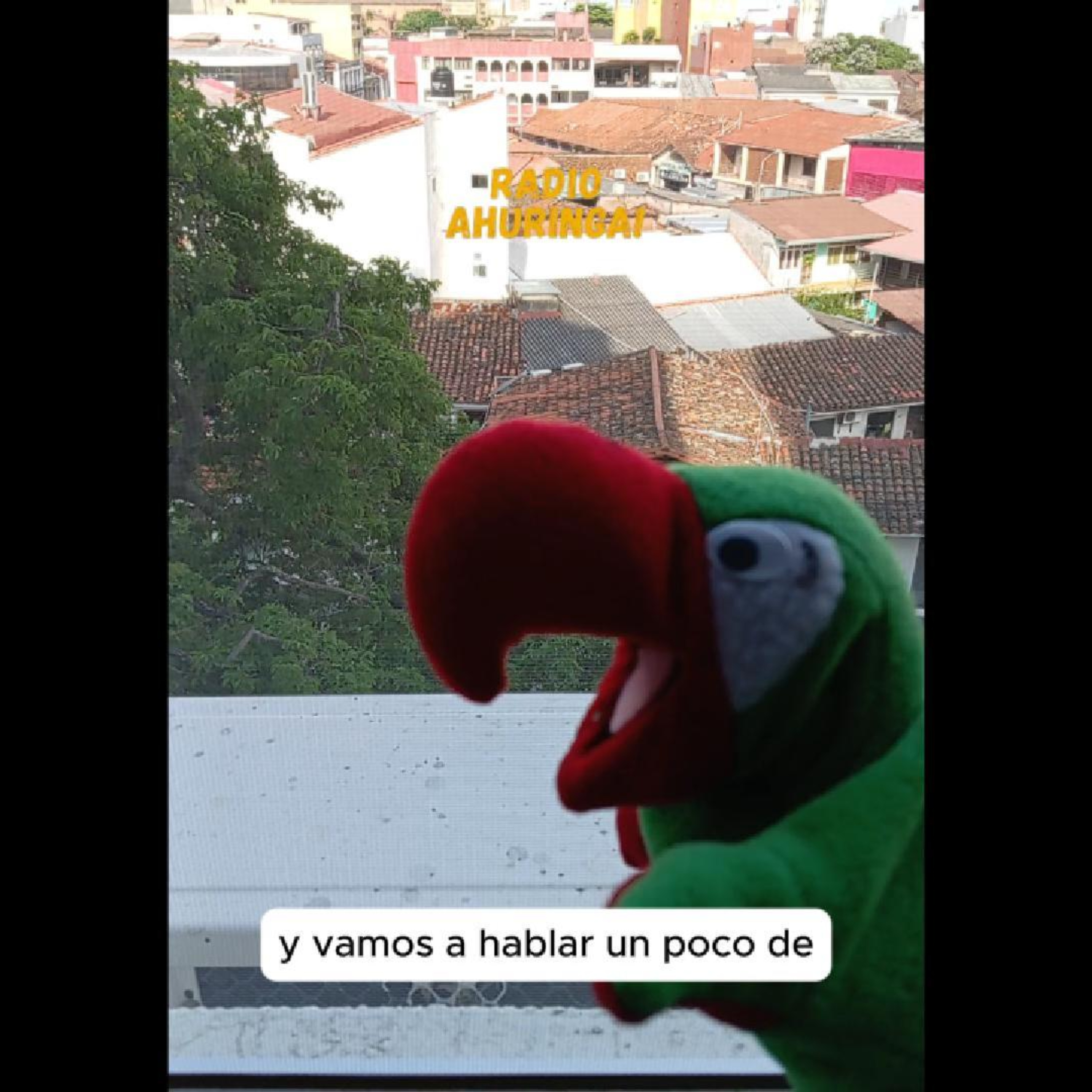 Amemos Bolivia. "Las aventuras de Pepa y Chicho". Radio Ahuringa!. episode artwork