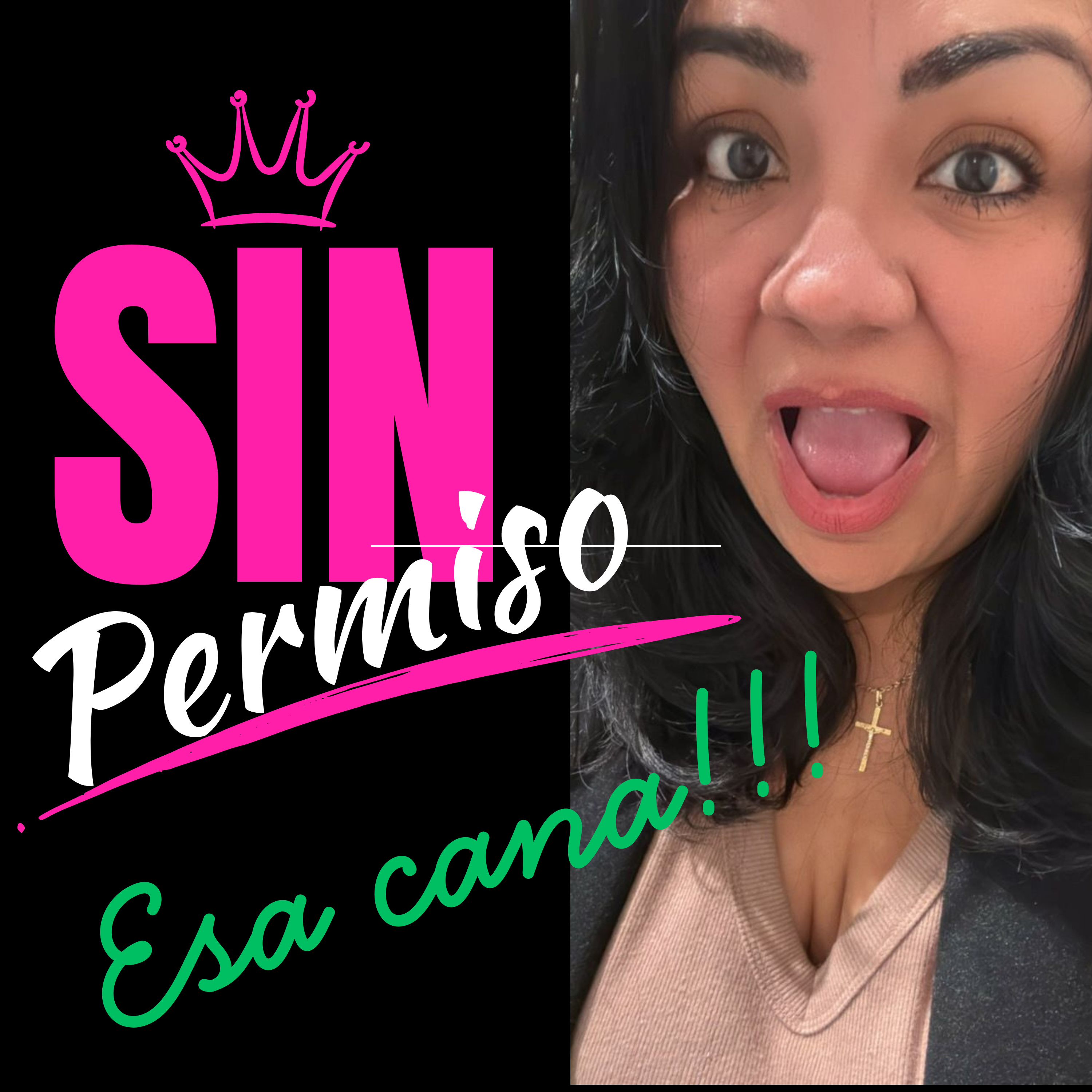 Portada de Sin Permiso