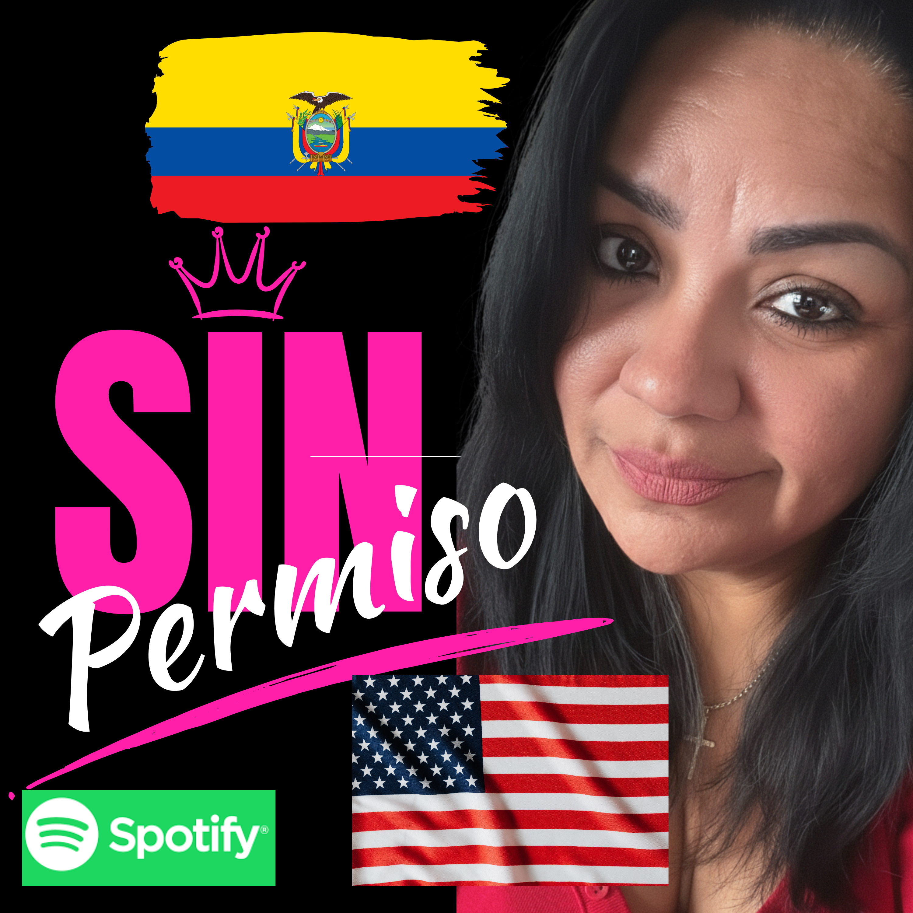 Portada de Sin Permiso