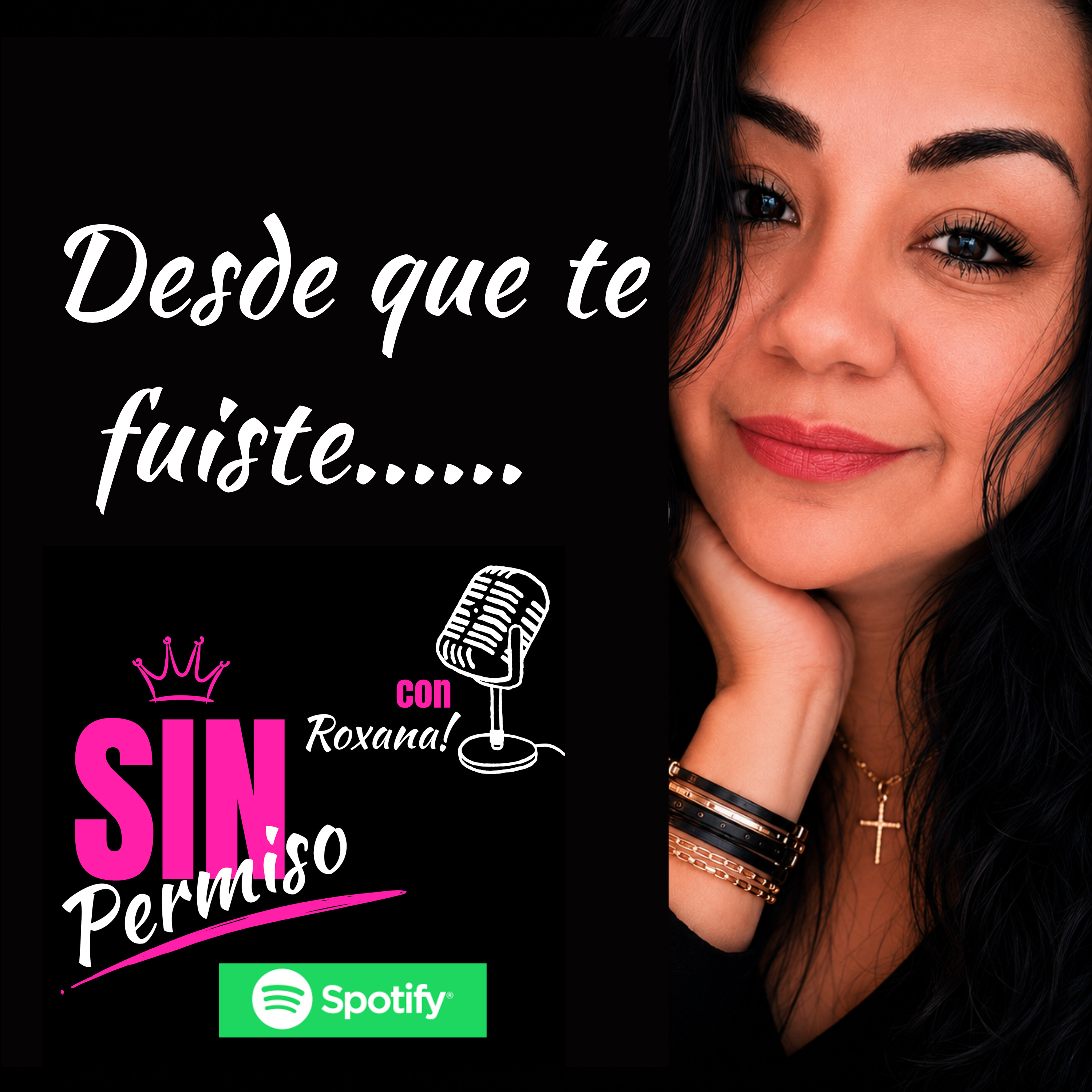 Portada de Sin Permiso