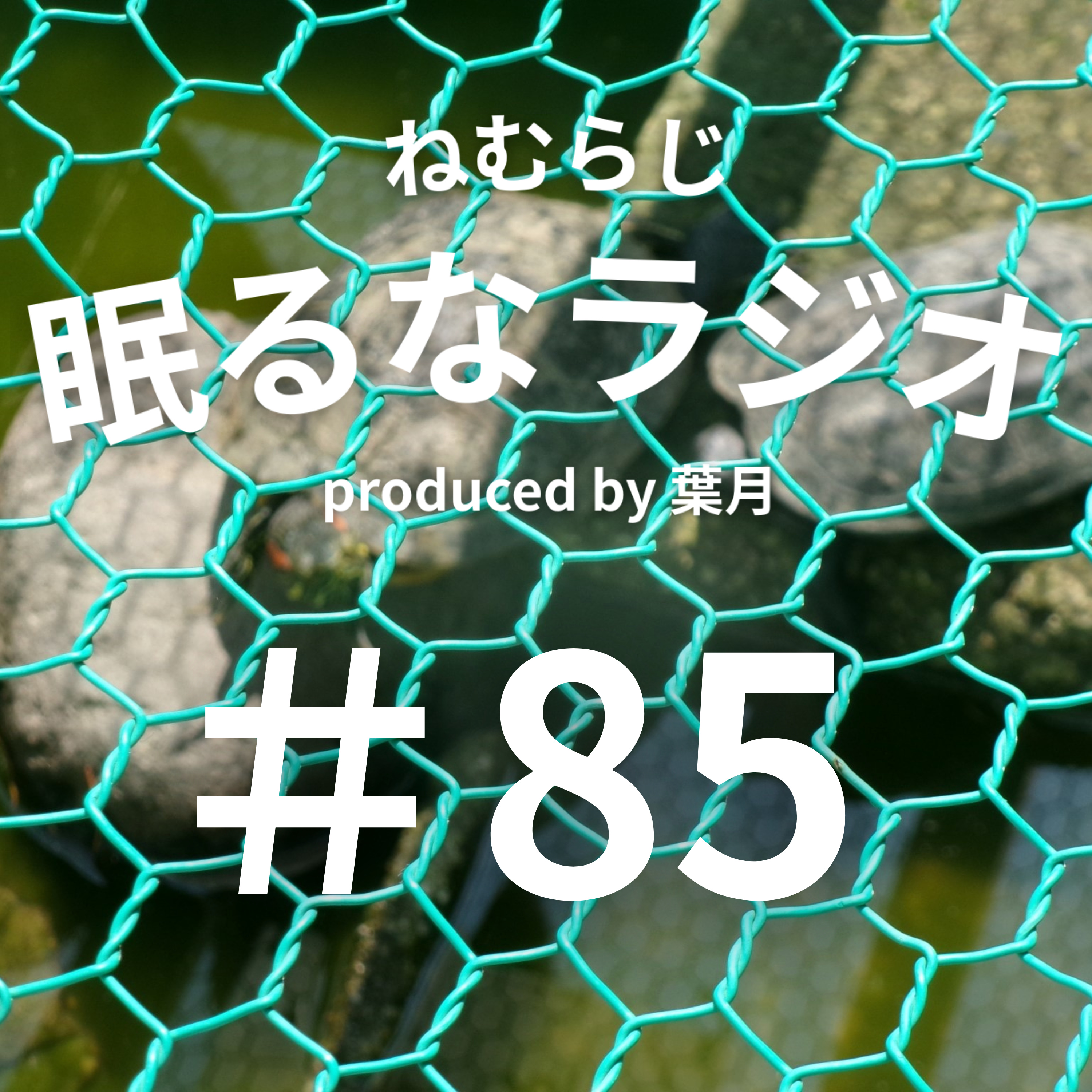 #85 W杯楽しかった！ところでオフサイドってなんですか？【podcast】【ねむらじ】 episode artwork