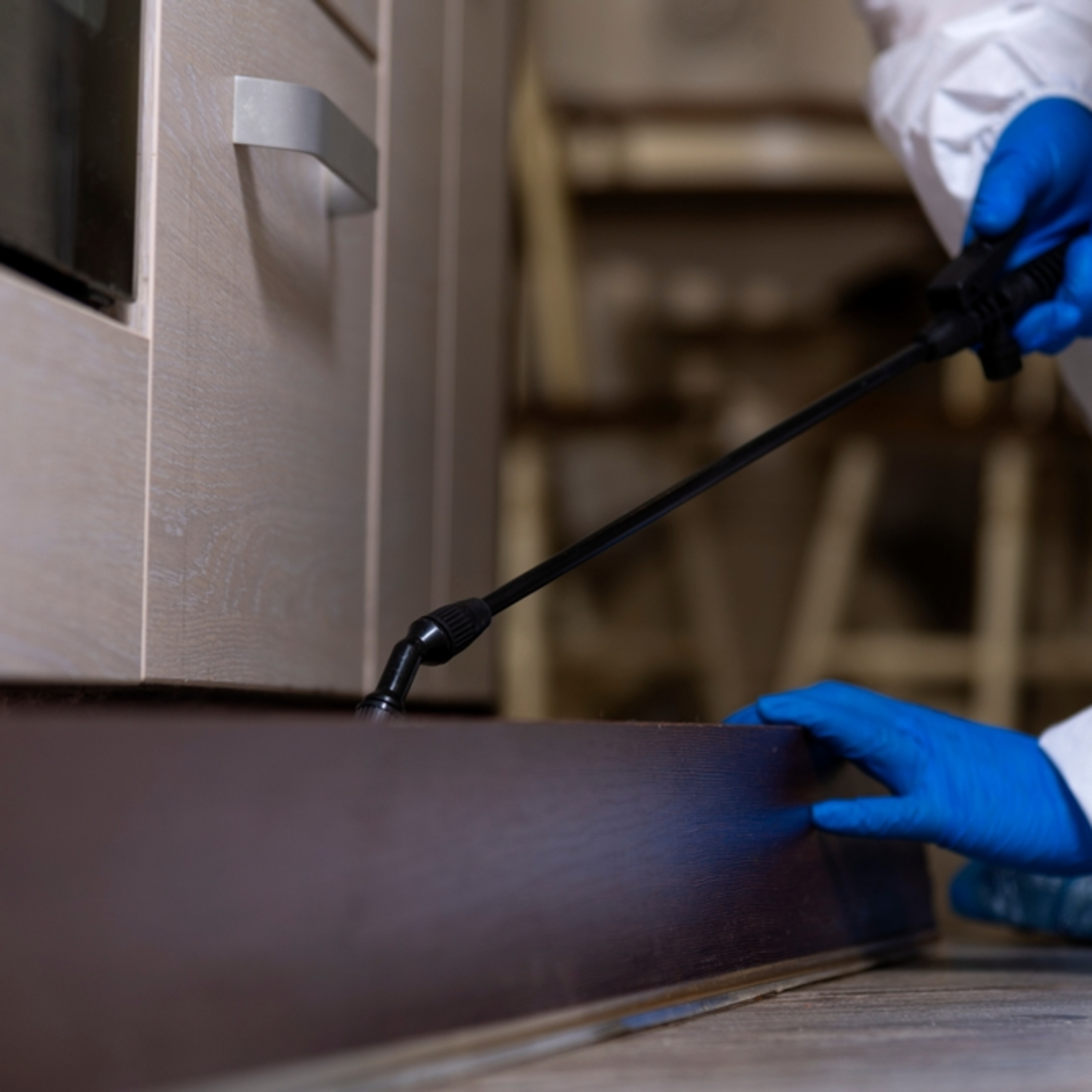 Accurate Pest Control Services LLC – Serving Dubai, Ajman, and Sharjah