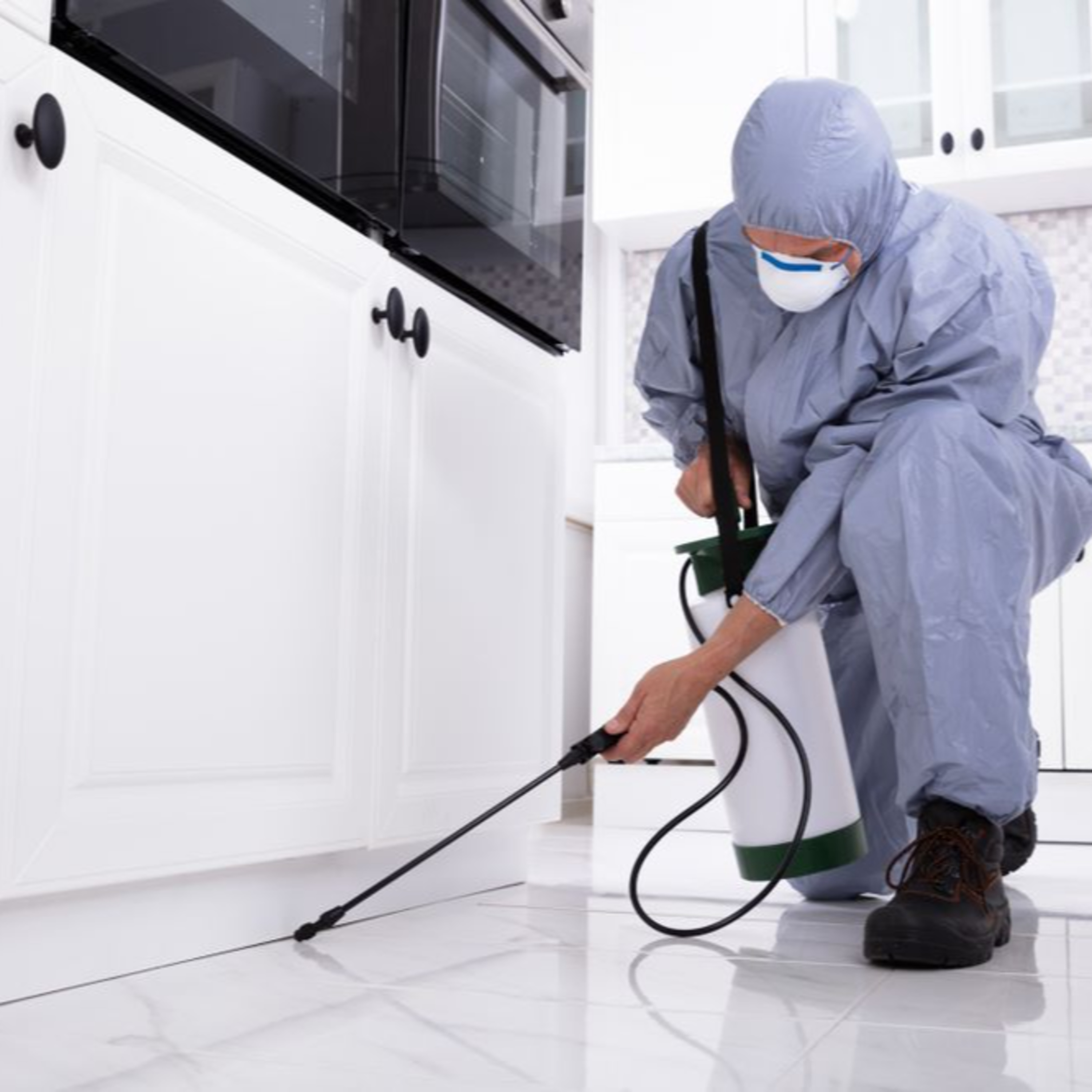 Accurate Pest Control Services LLC – Serving Dubai, Ajman, and Sharjah