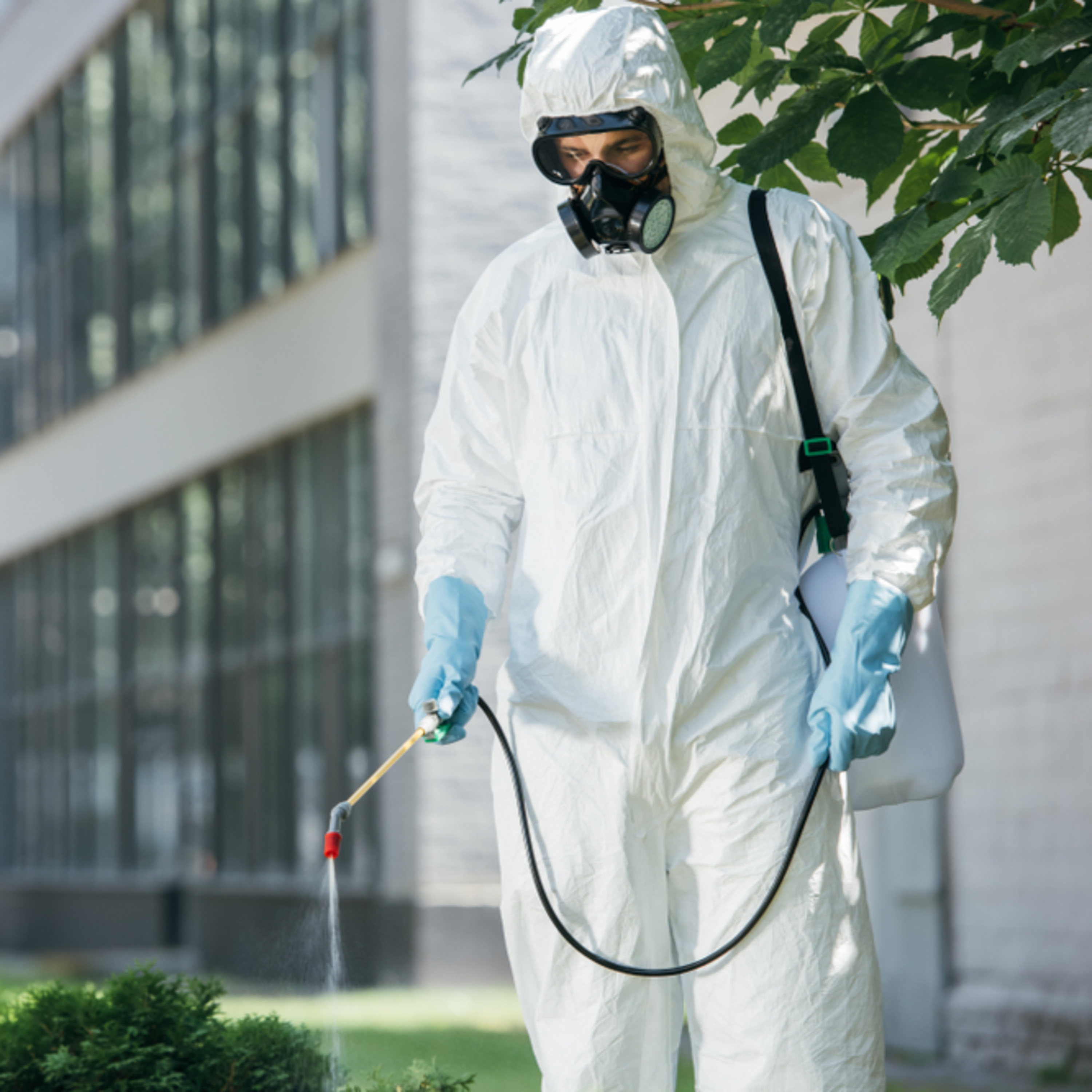 Accurate Pest Control Services LLC – Serving Dubai, Ajman, and Sharjah