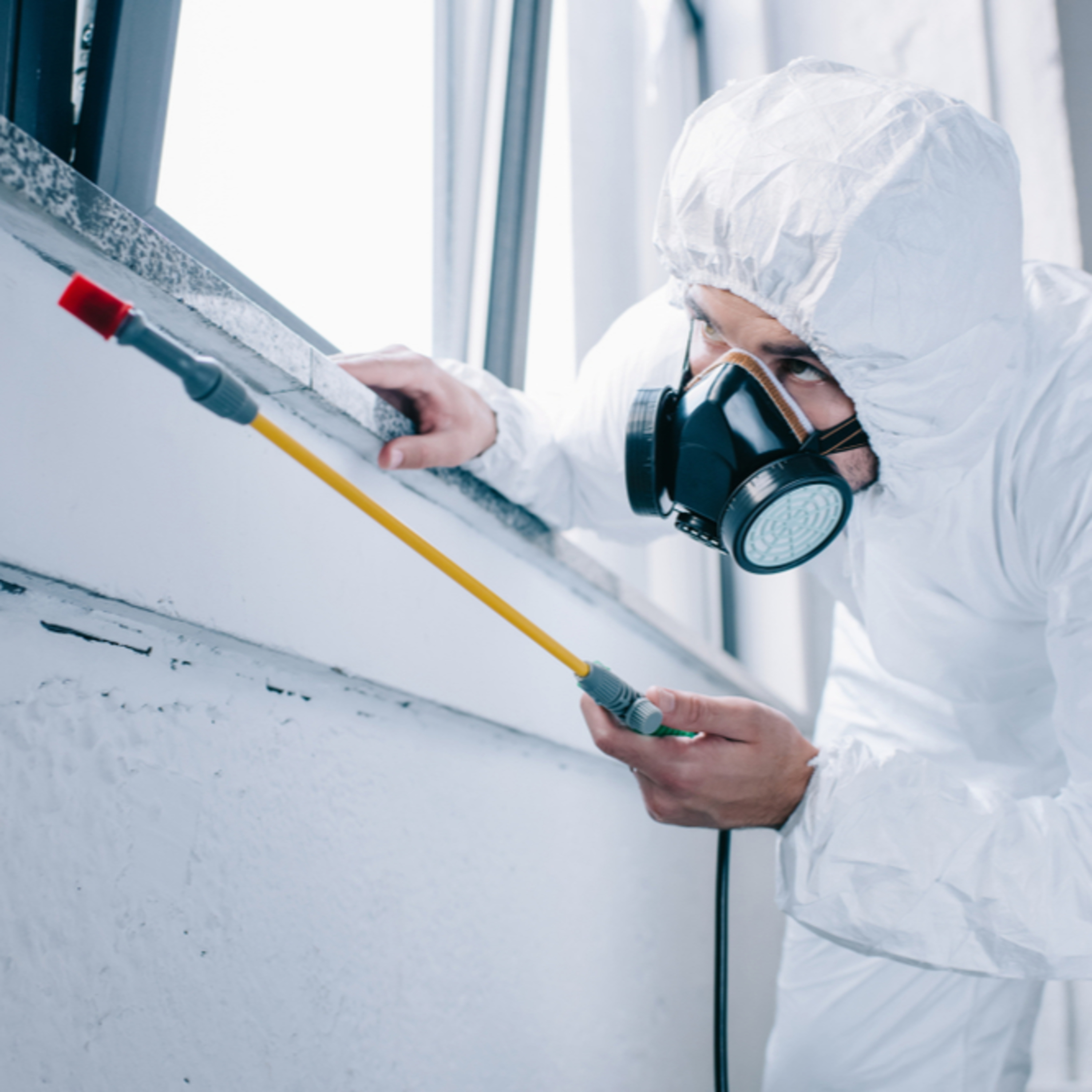 Accurate Pest Control Services LLC – Serving Dubai, Ajman, and Sharjah