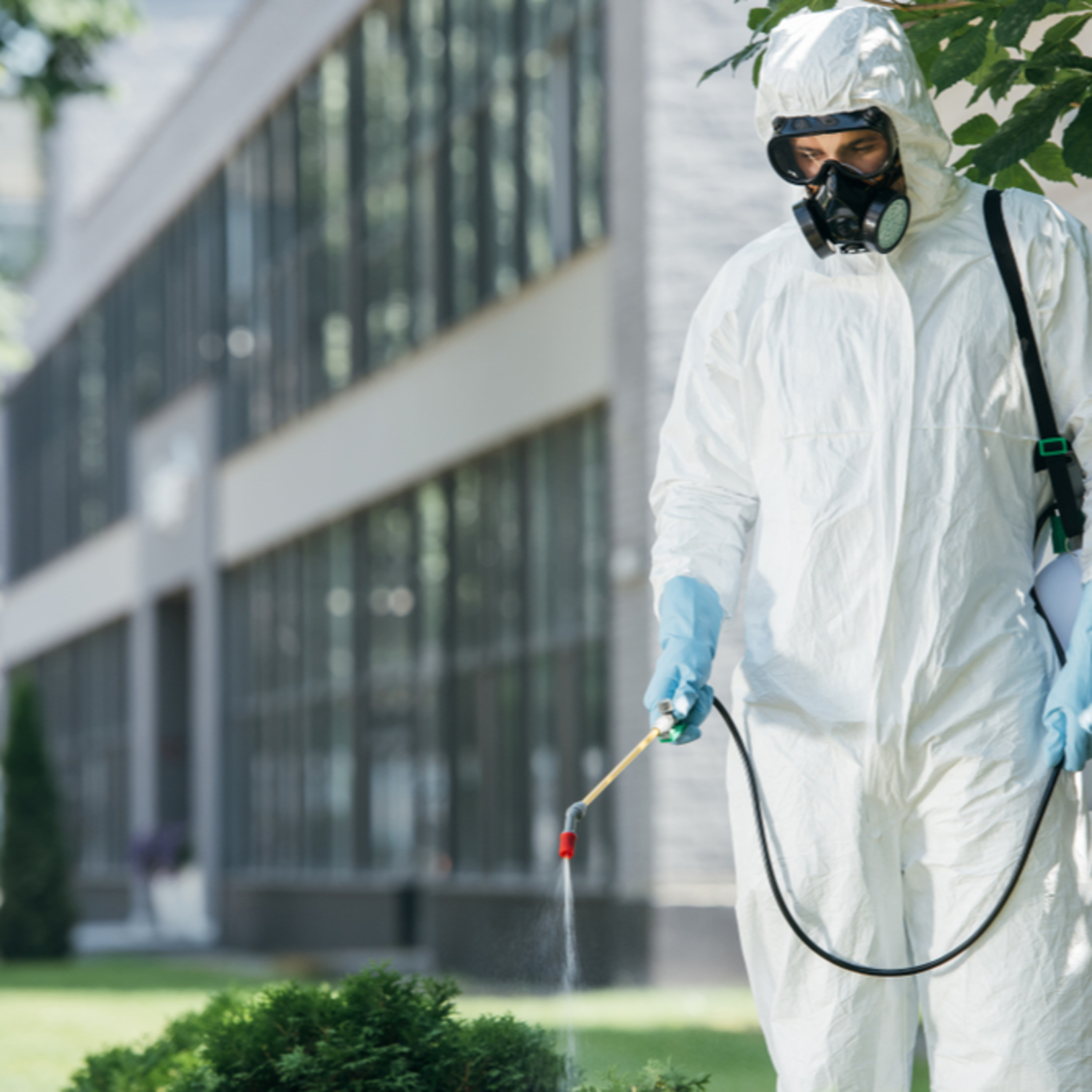 Accurate Pest Control Services LLC – Serving Dubai, Ajman, and Sharjah