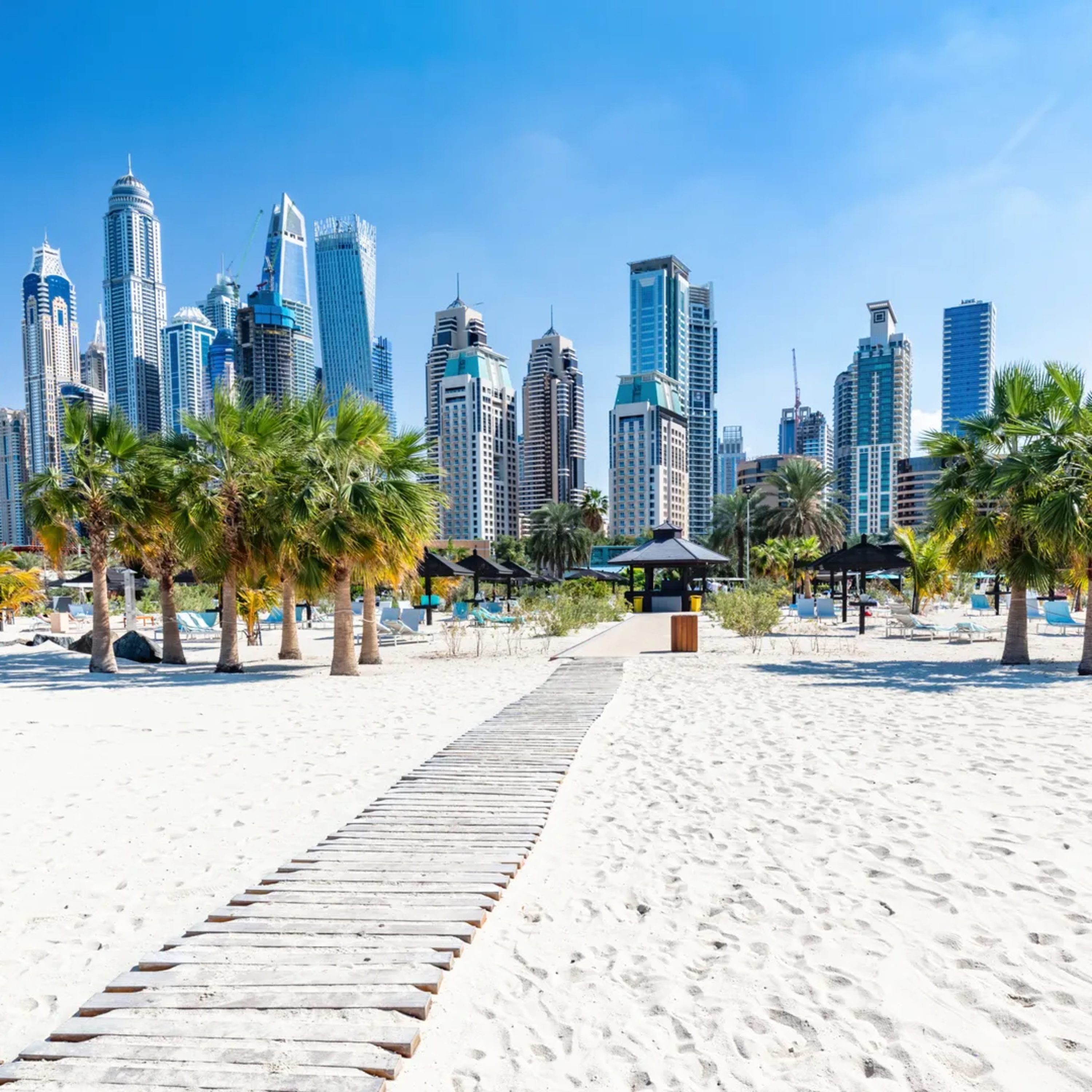 Accurate Pest Control Services LLC – Serving Dubai, Ajman, and Sharjah