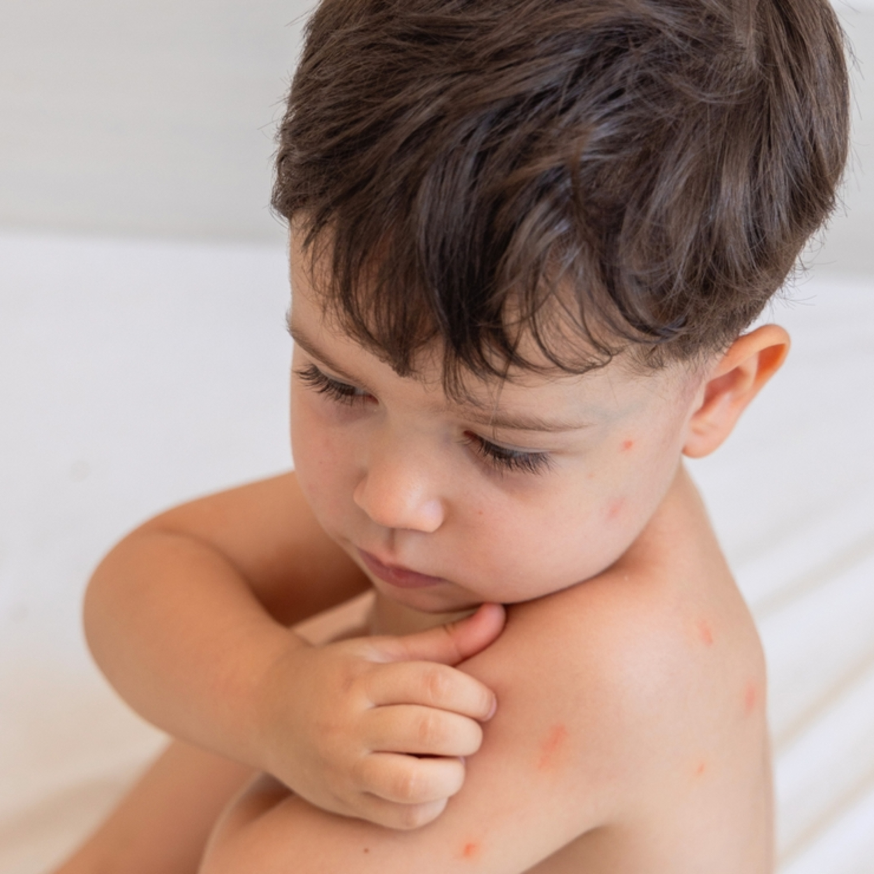 Accurate Pest Control Services LLC – Serving Dubai, Ajman, and Sharjah