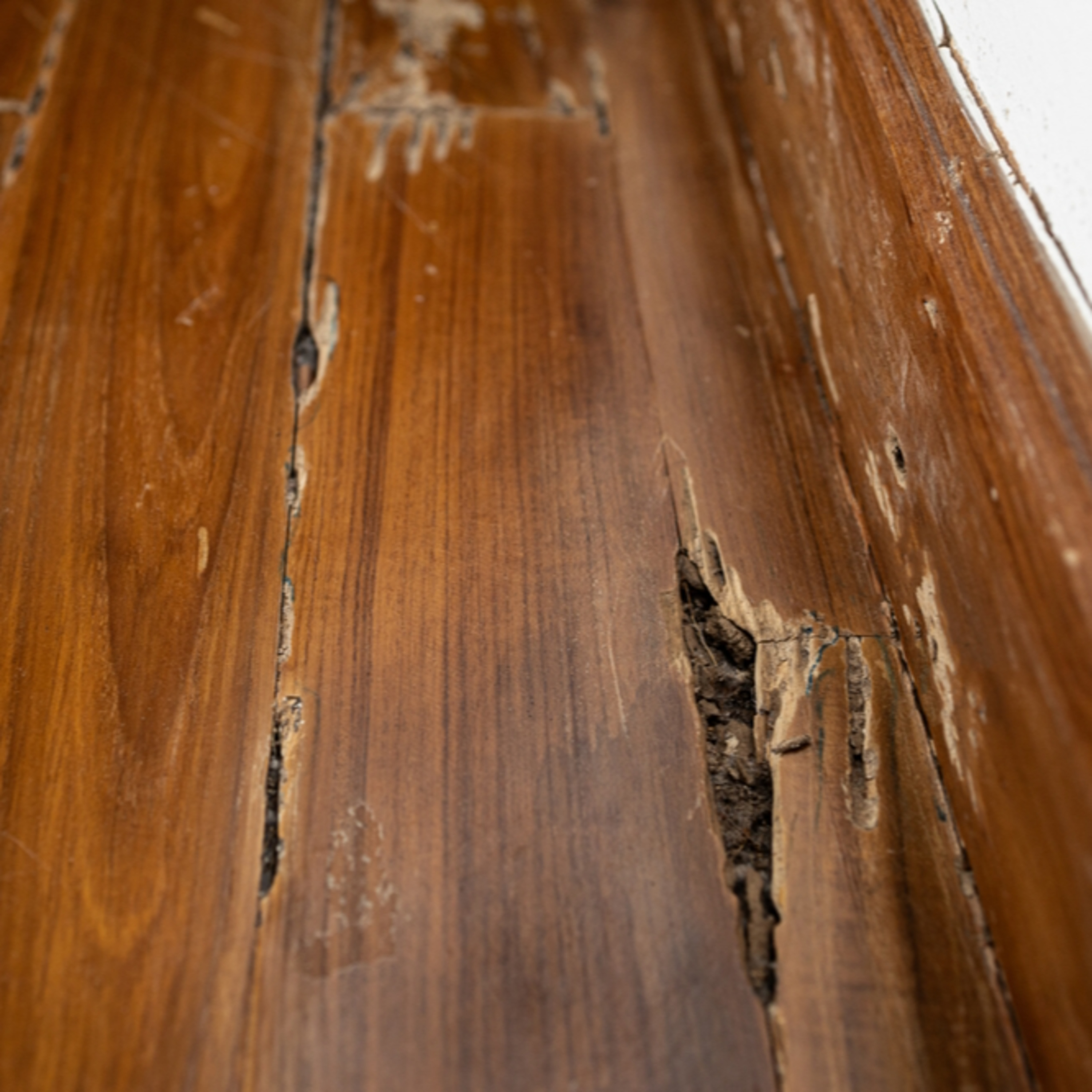 Understanding Termite Mud Tubes, Hidden Structural Risks, Early Warning Signs, and Professional Treatment Solutions for Long-Term Protection By Accurate pest control services LLC episode artwork