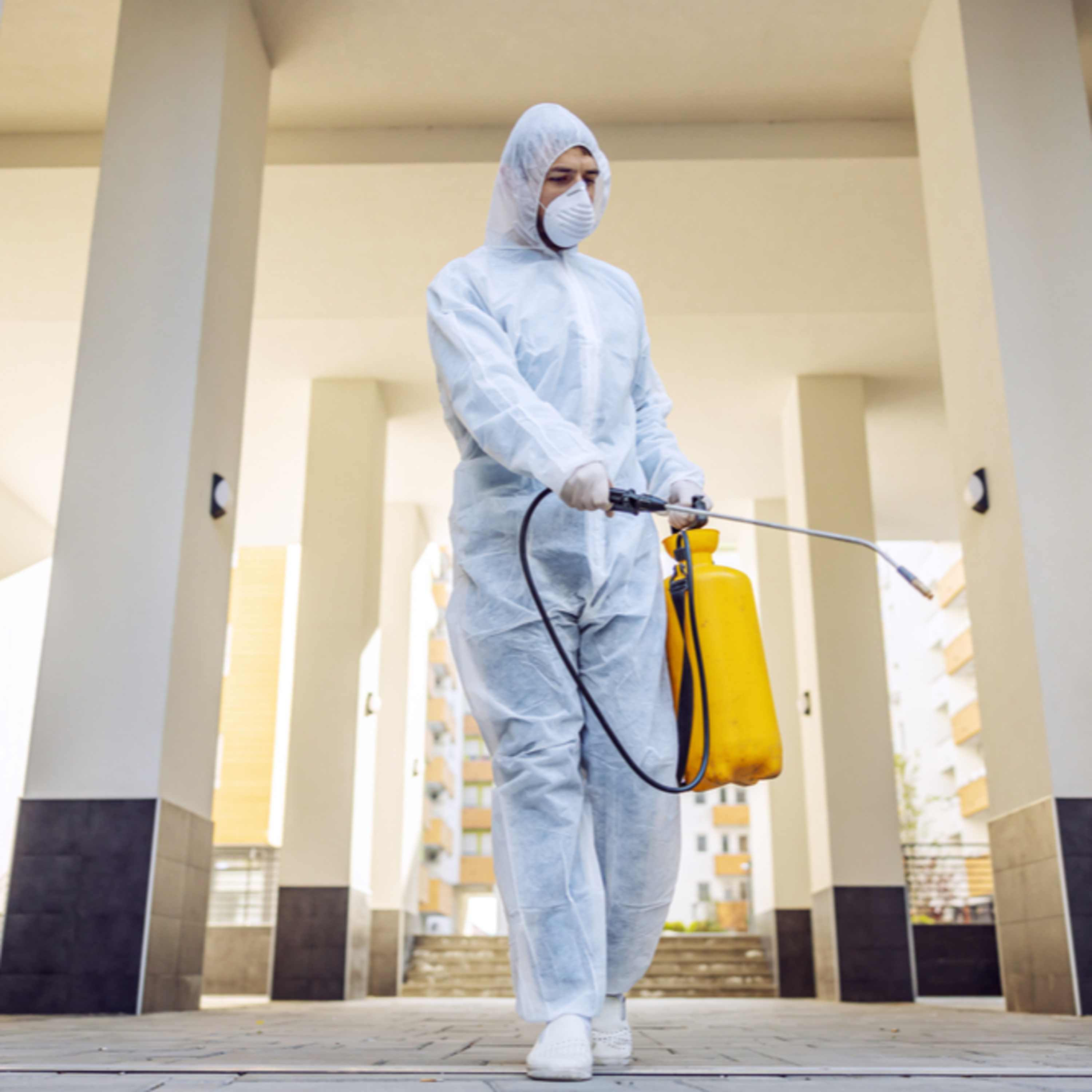 How to Maintain a Pest-Free Home After Pest Control in UAE | Post-Treatment Care, Prevention Tips & Long-Lasting Protection Guide By Accurate pest control services LLC episode artwork