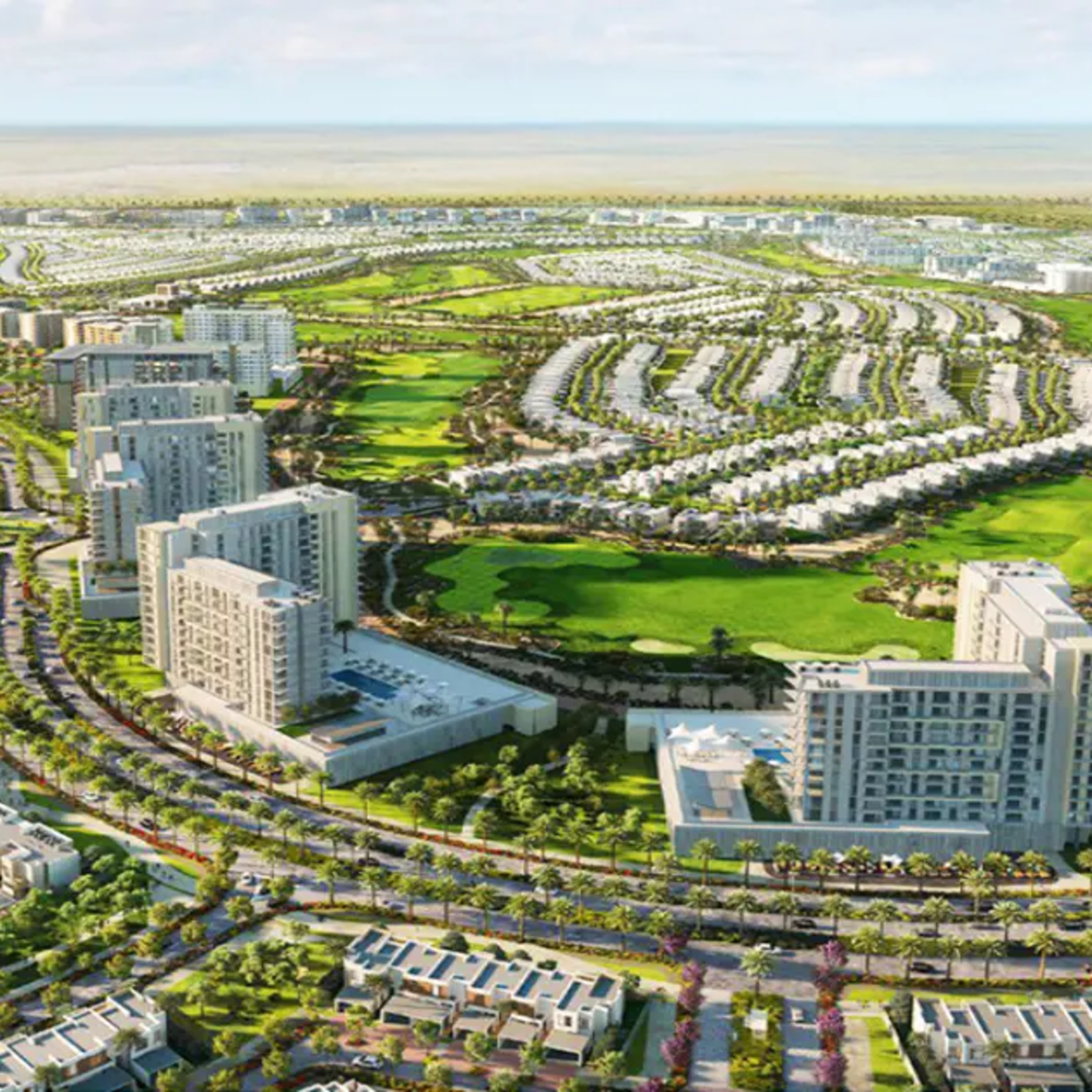 Termite Control in Dubai South | Professional Termite Inspection, Soil Treatment & Colony Removal – Accurate Pest Control Services LLC episode artwork