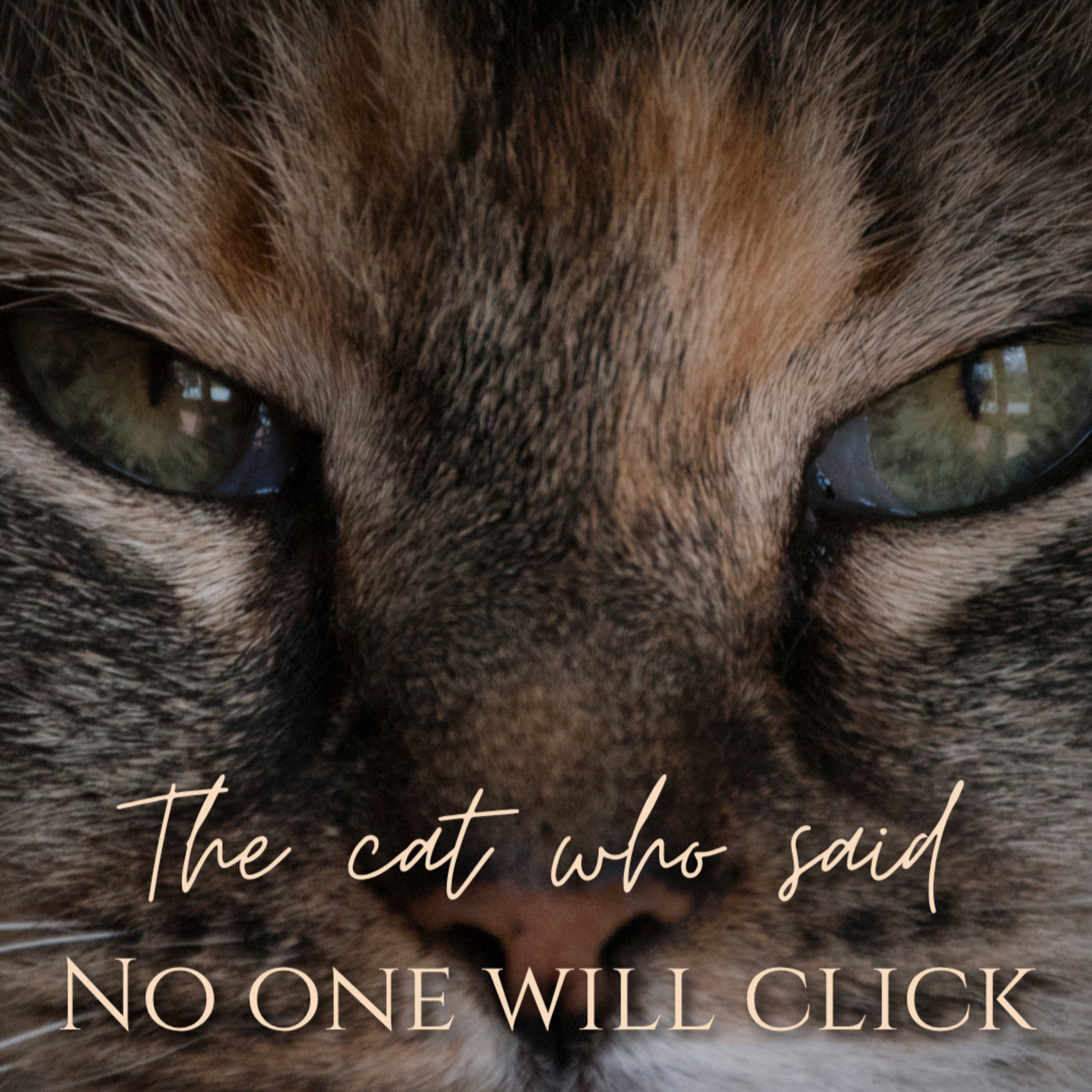 The Cat Who Said “No One Will Click” ~ Hushed Verse ~ ASMR Poem, Soft Spoken episode artwork