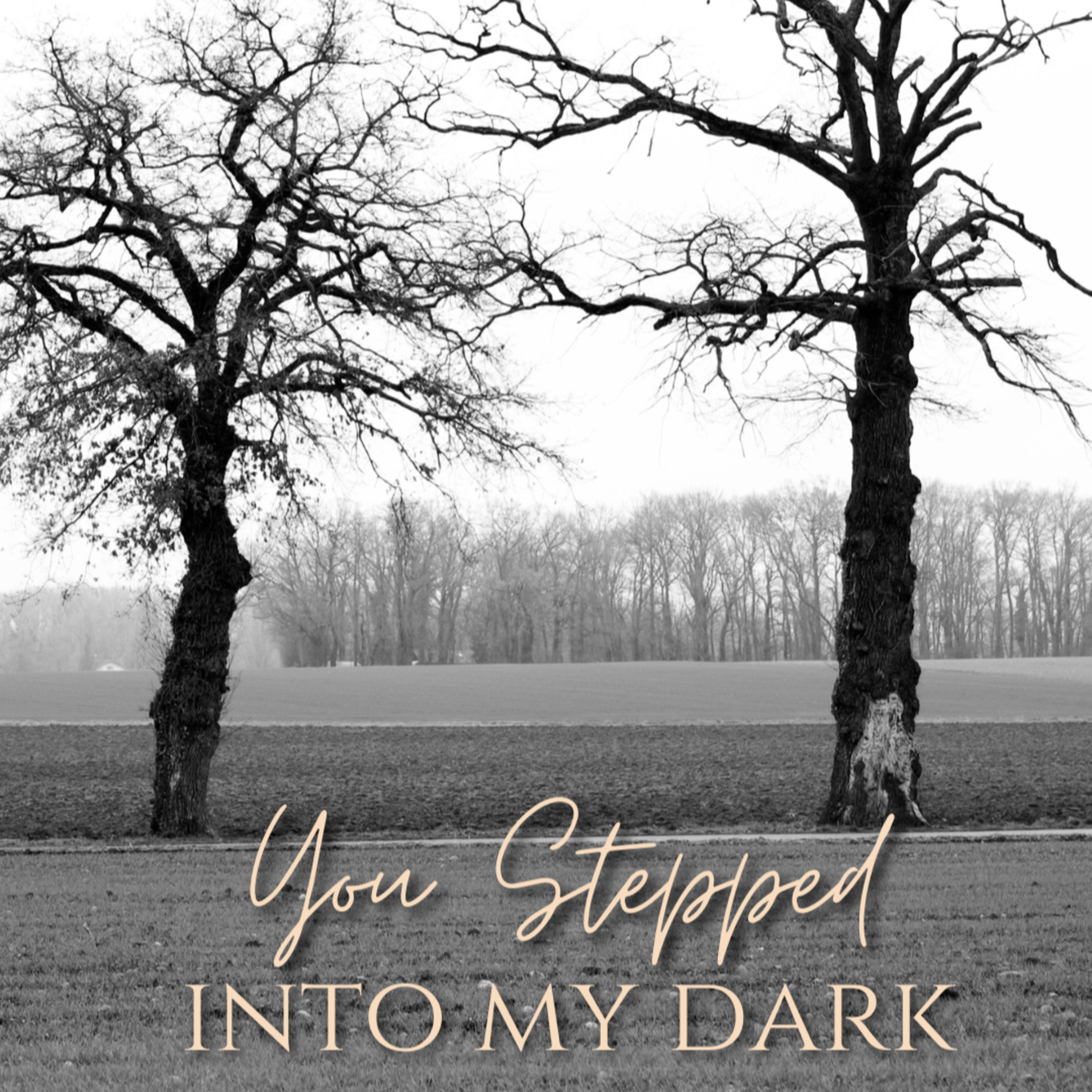 You Stepped into My Dark ~ A Whisper Love Poem ~ You feel like the place I was always meant to be episode artwork