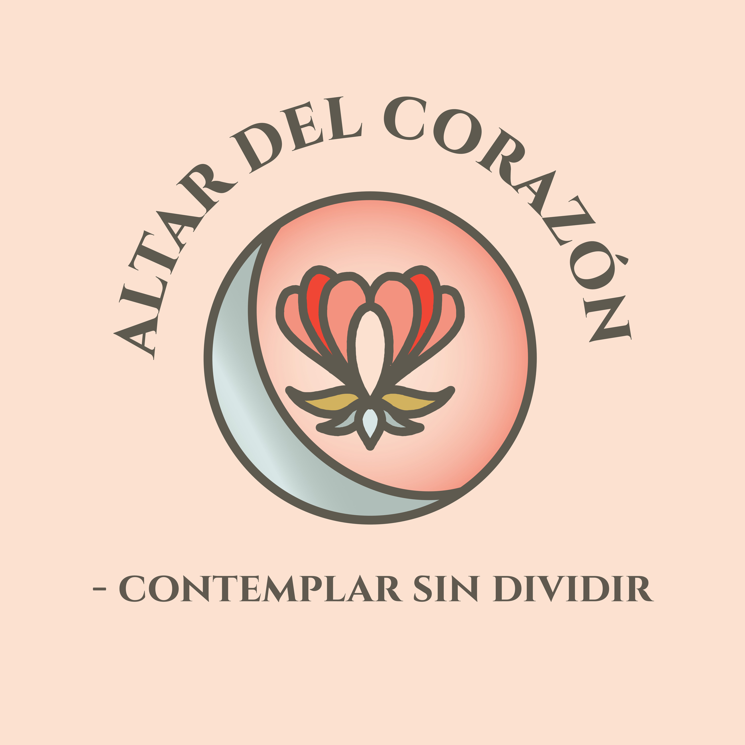 Observar sin dividir episode artwork
