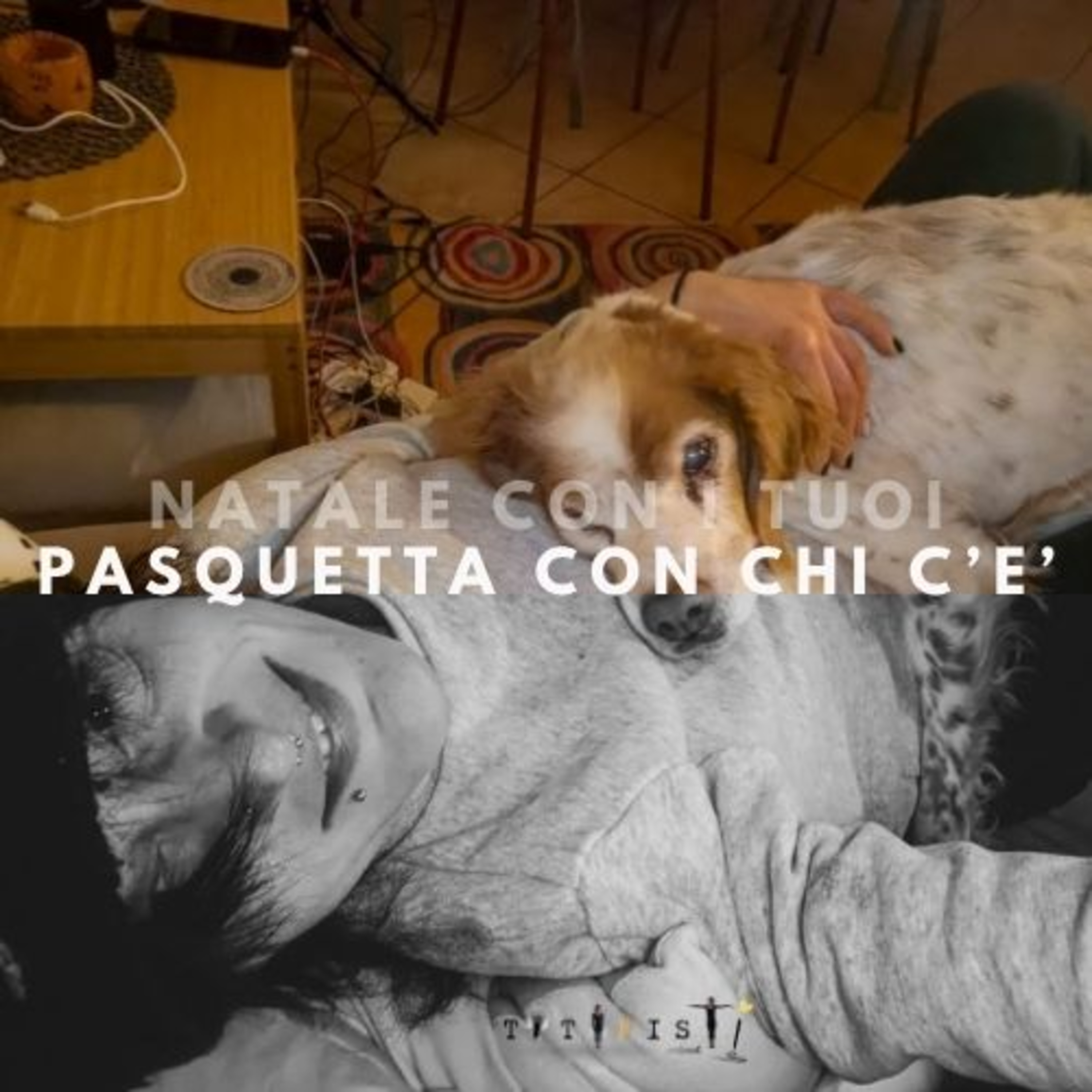 Natale con i tuoi, Pasquetta con chi c'è - Trailer episode artwork