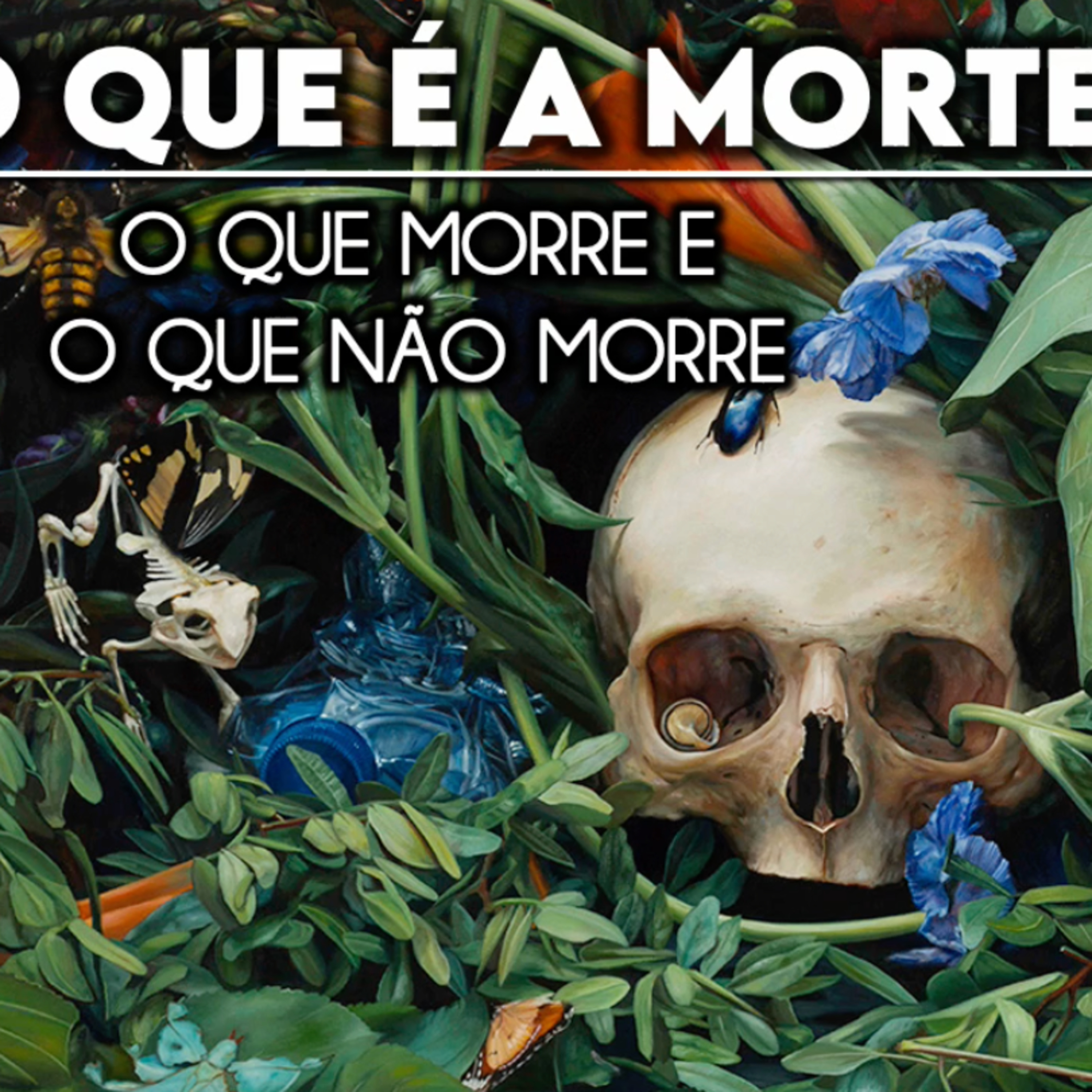 Conhecimento de si mesmo e despertar da consciência