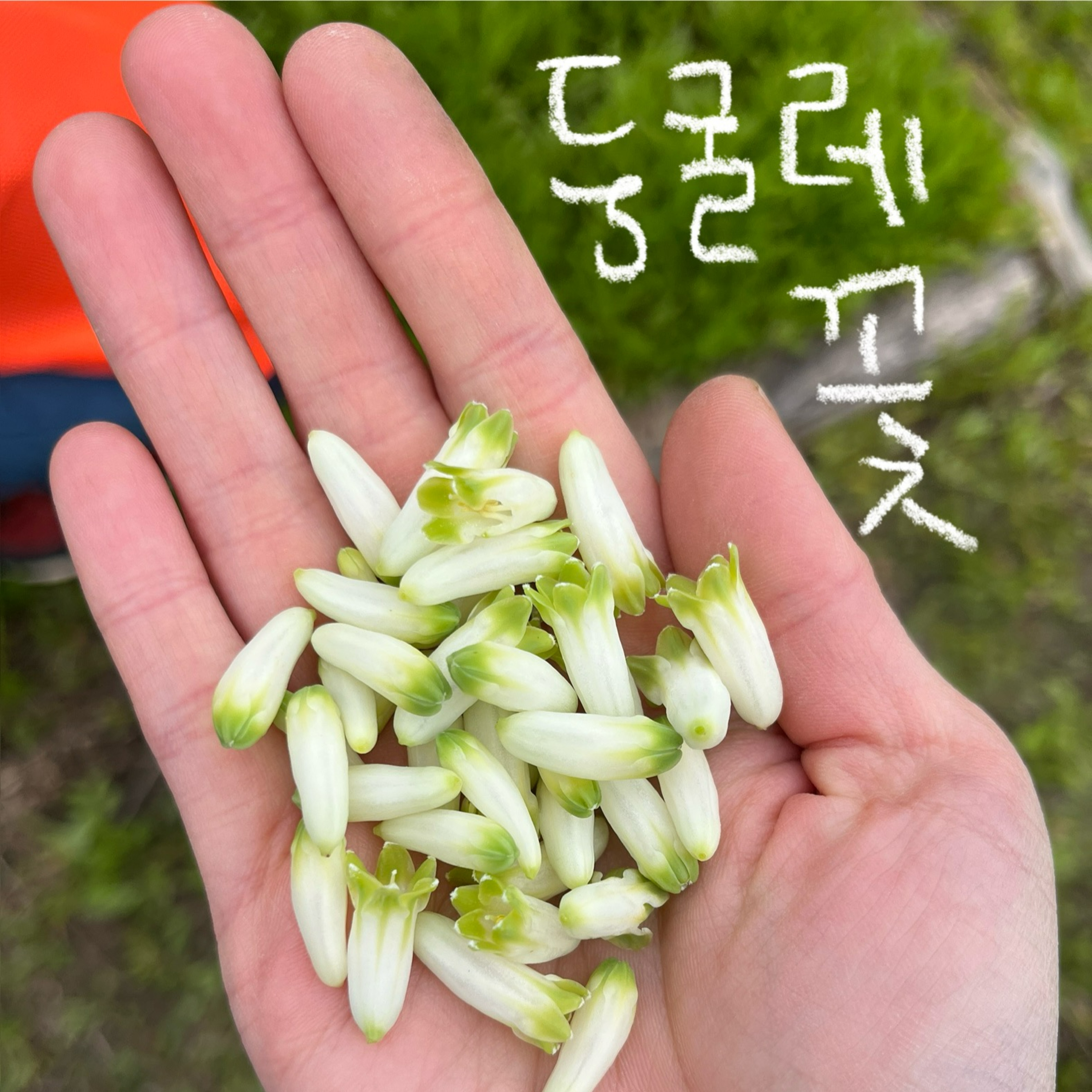 [뒹굴둥굴래] 0화 _ 안녕하세요, 쏘이빈입니다. episode artwork