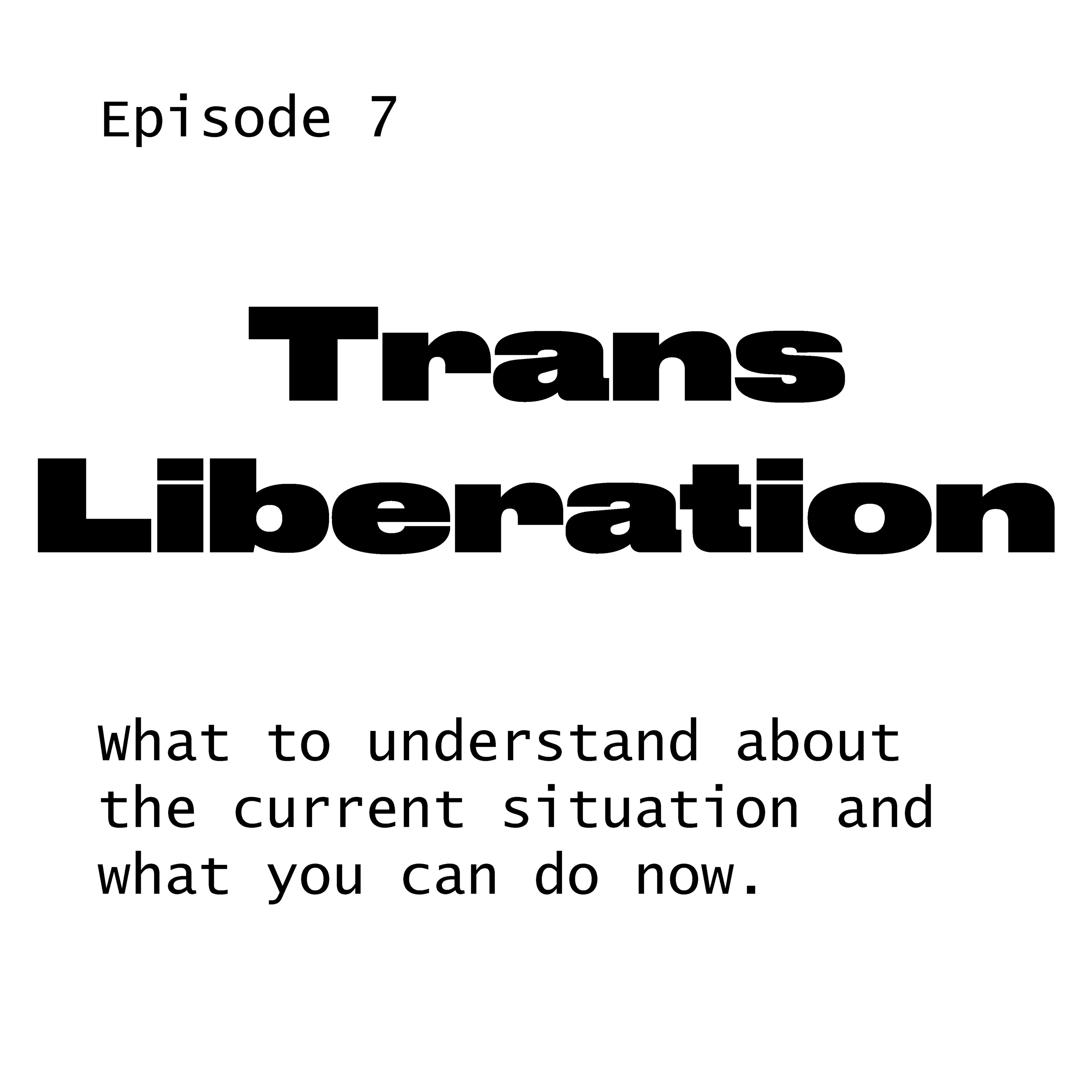 The New Party Podcast