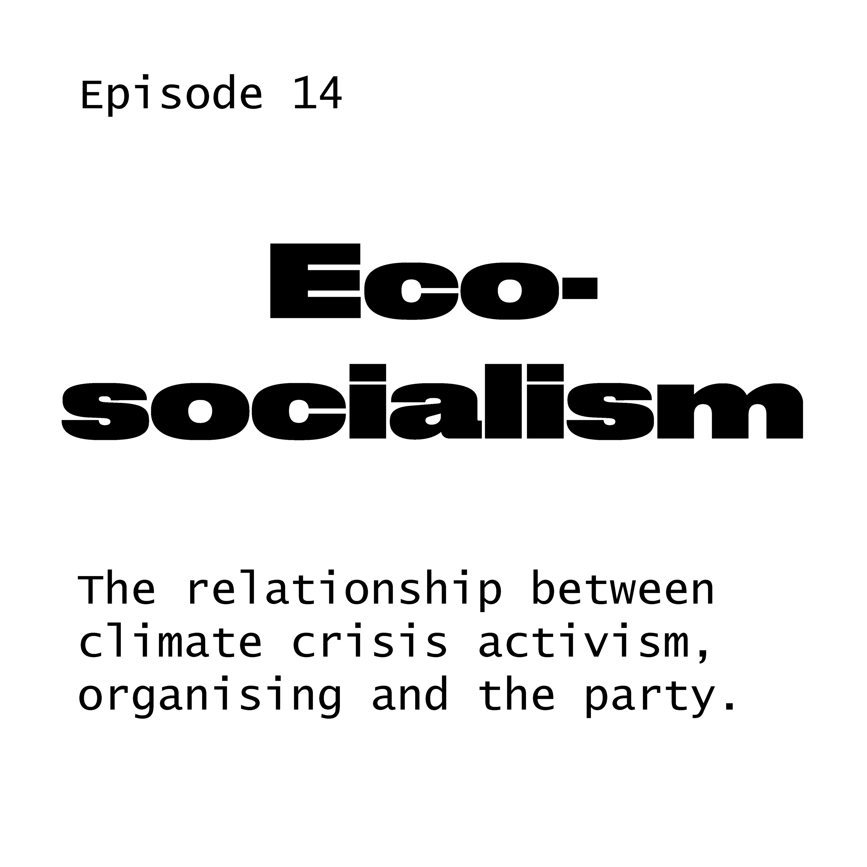 The New Party Podcast