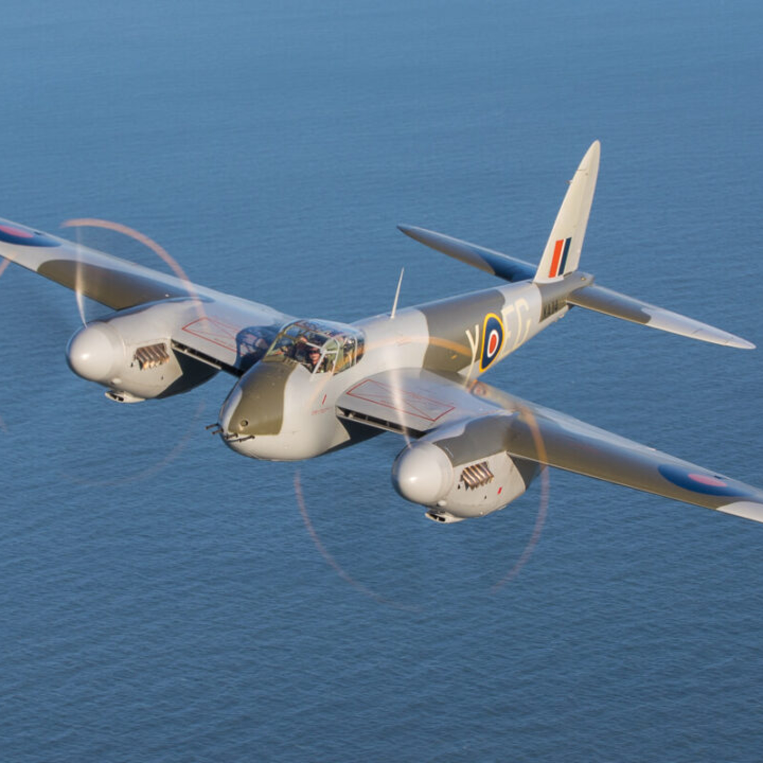 Why\'s That, Dad? | The Science, History & Culture of Everyday Questions for Curious Adults and Kids