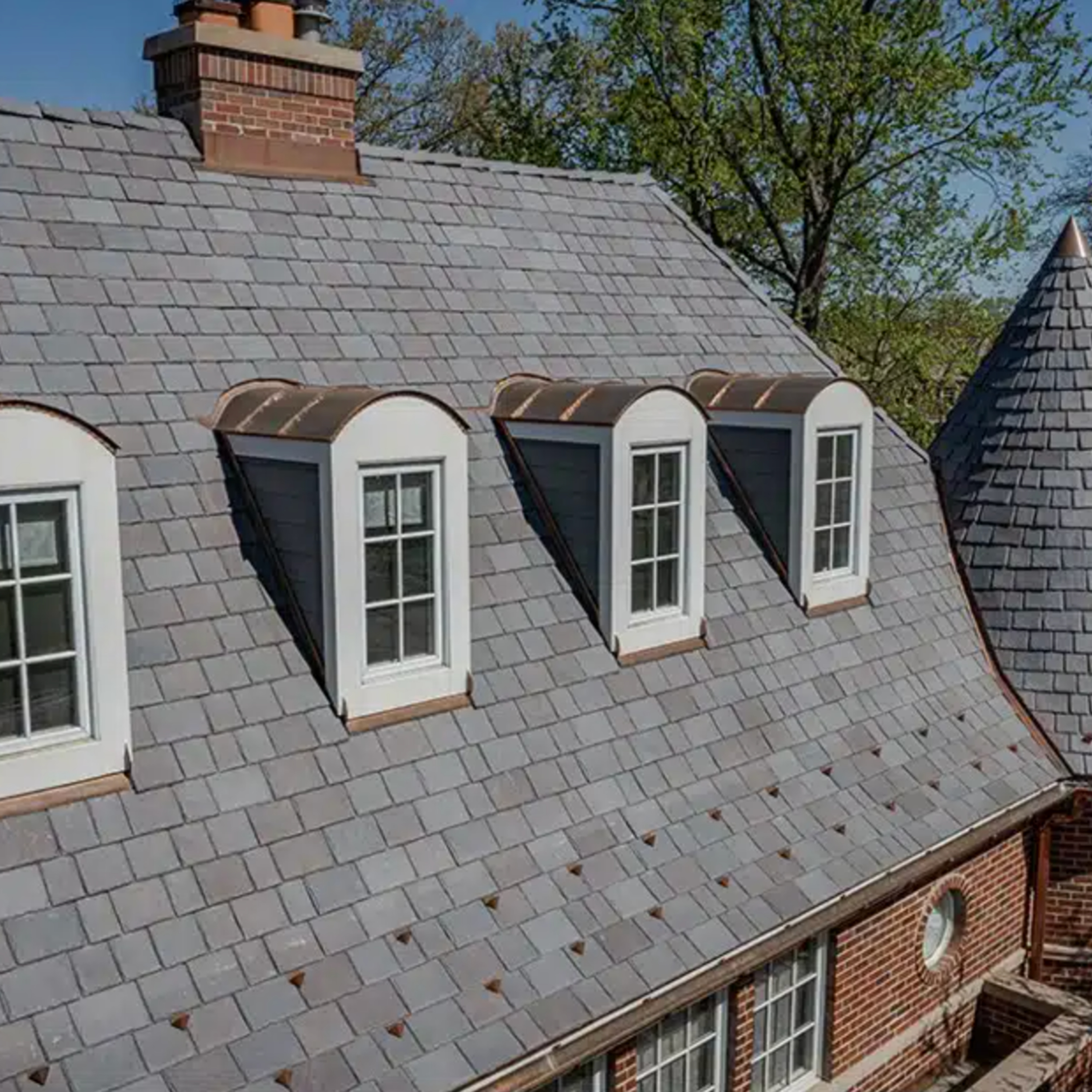 Why\'s That, Dad? | The Science, History & Culture of Everyday Questions for Curious Adults and Kids